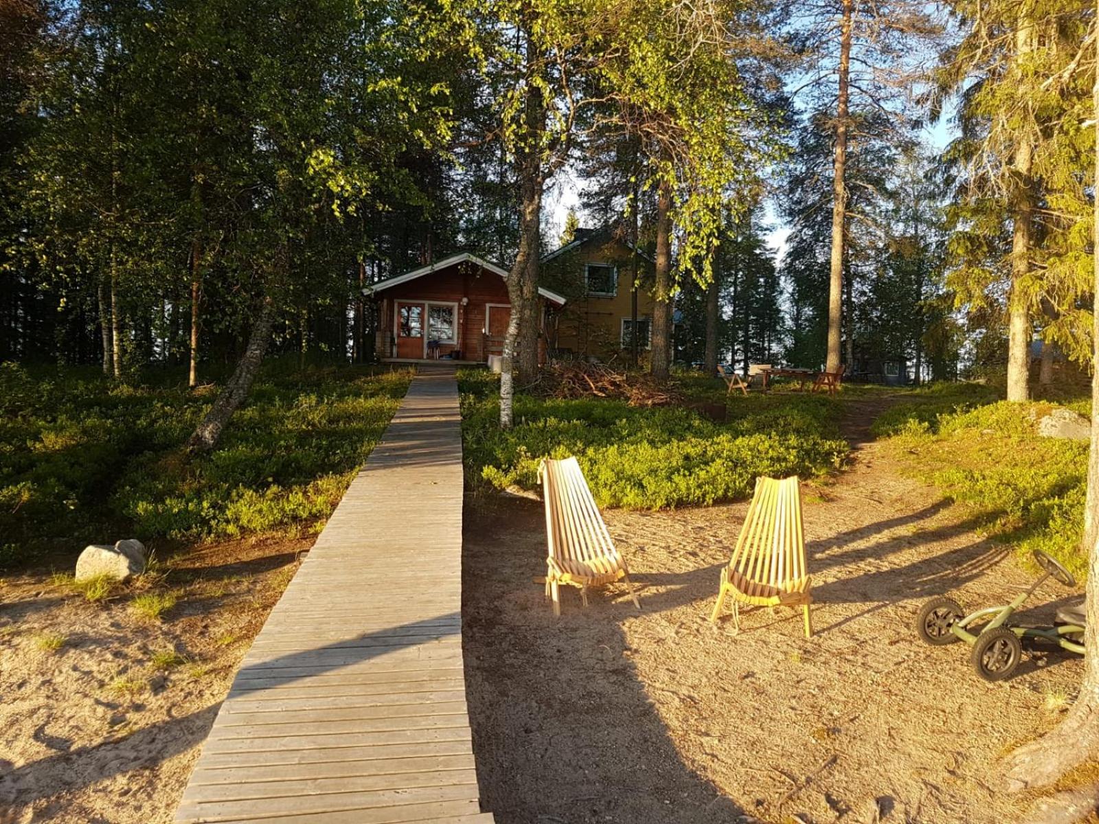 Metsä Kolo