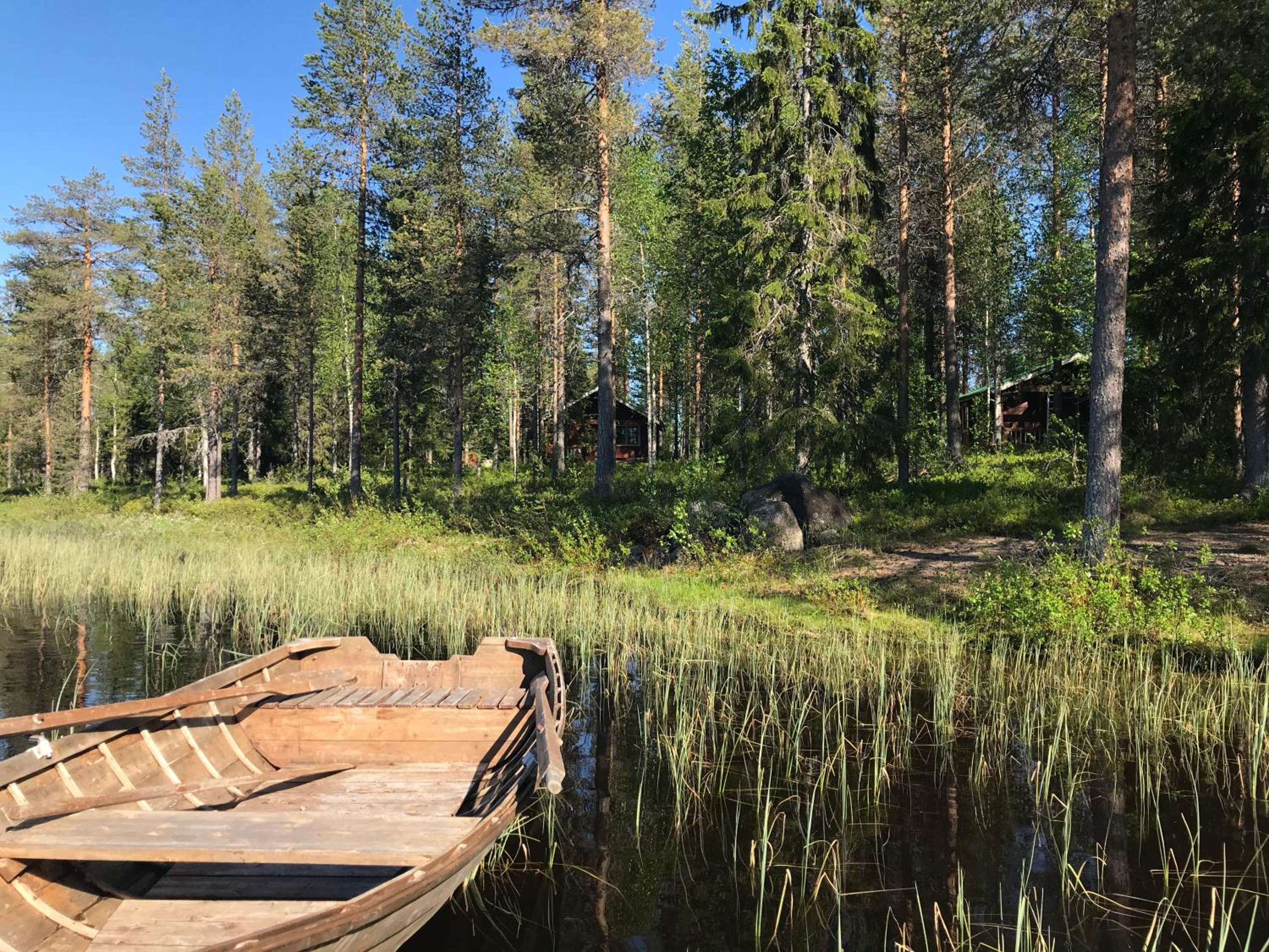 Metsä Kolo