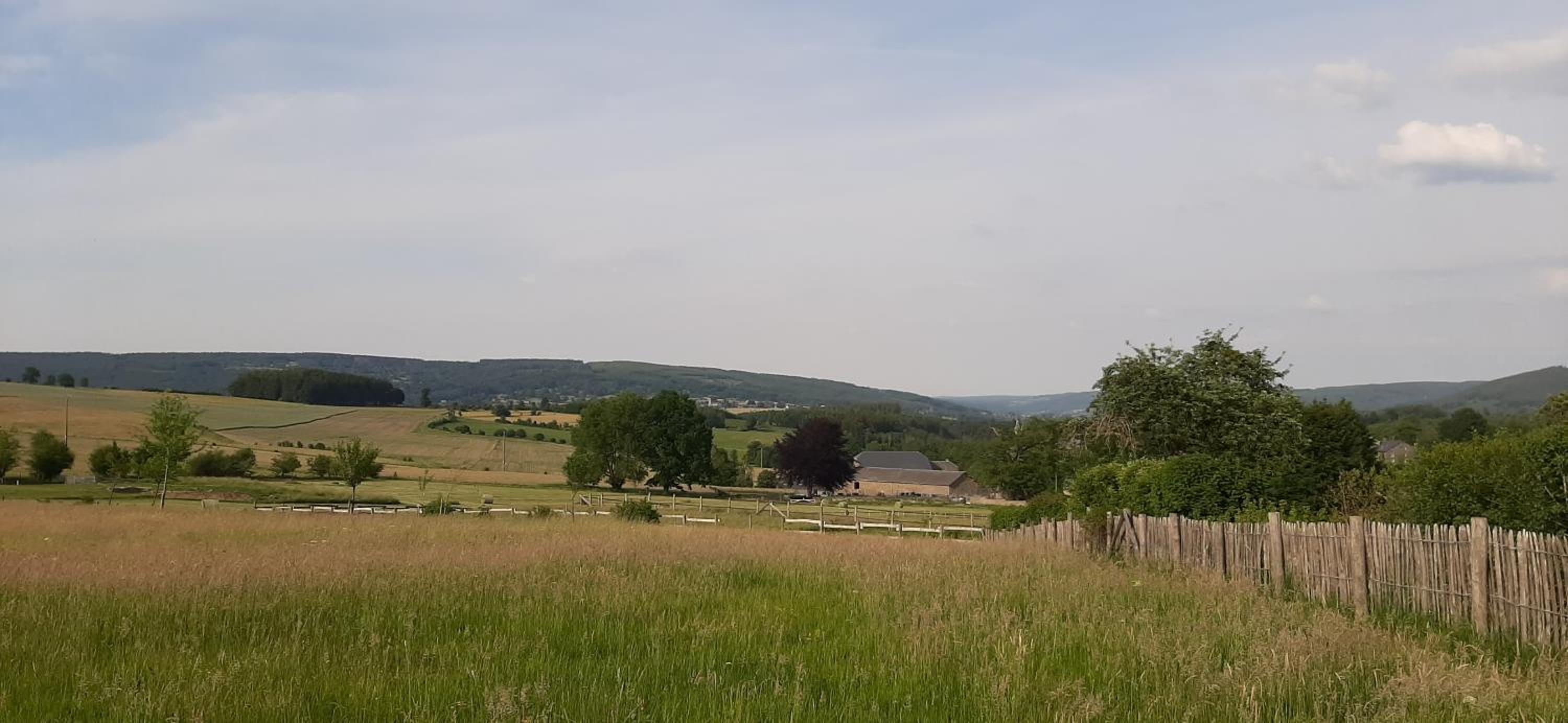 Domaine du Vieux Chêne