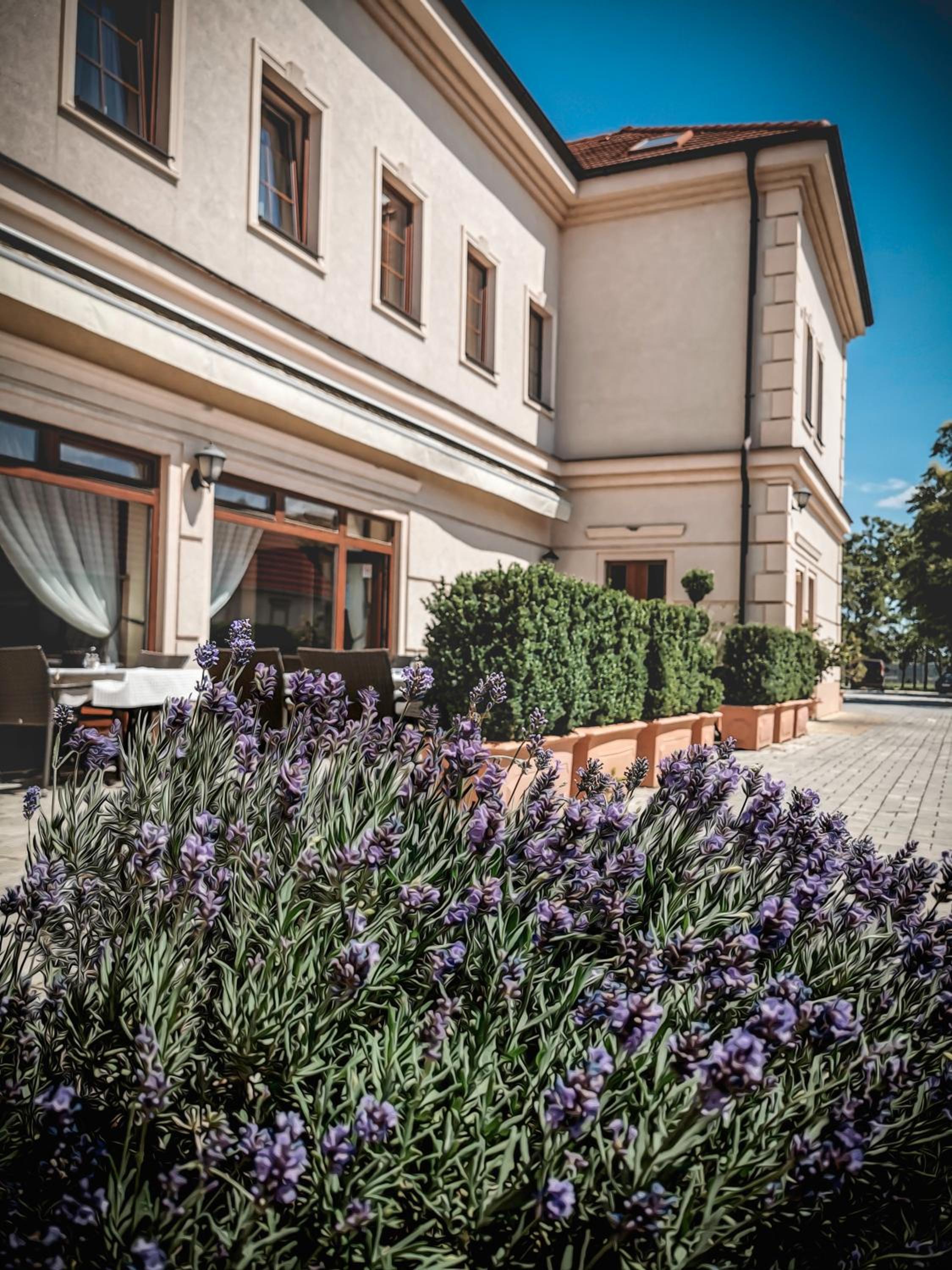 Restaurant Pansion Wien view 2