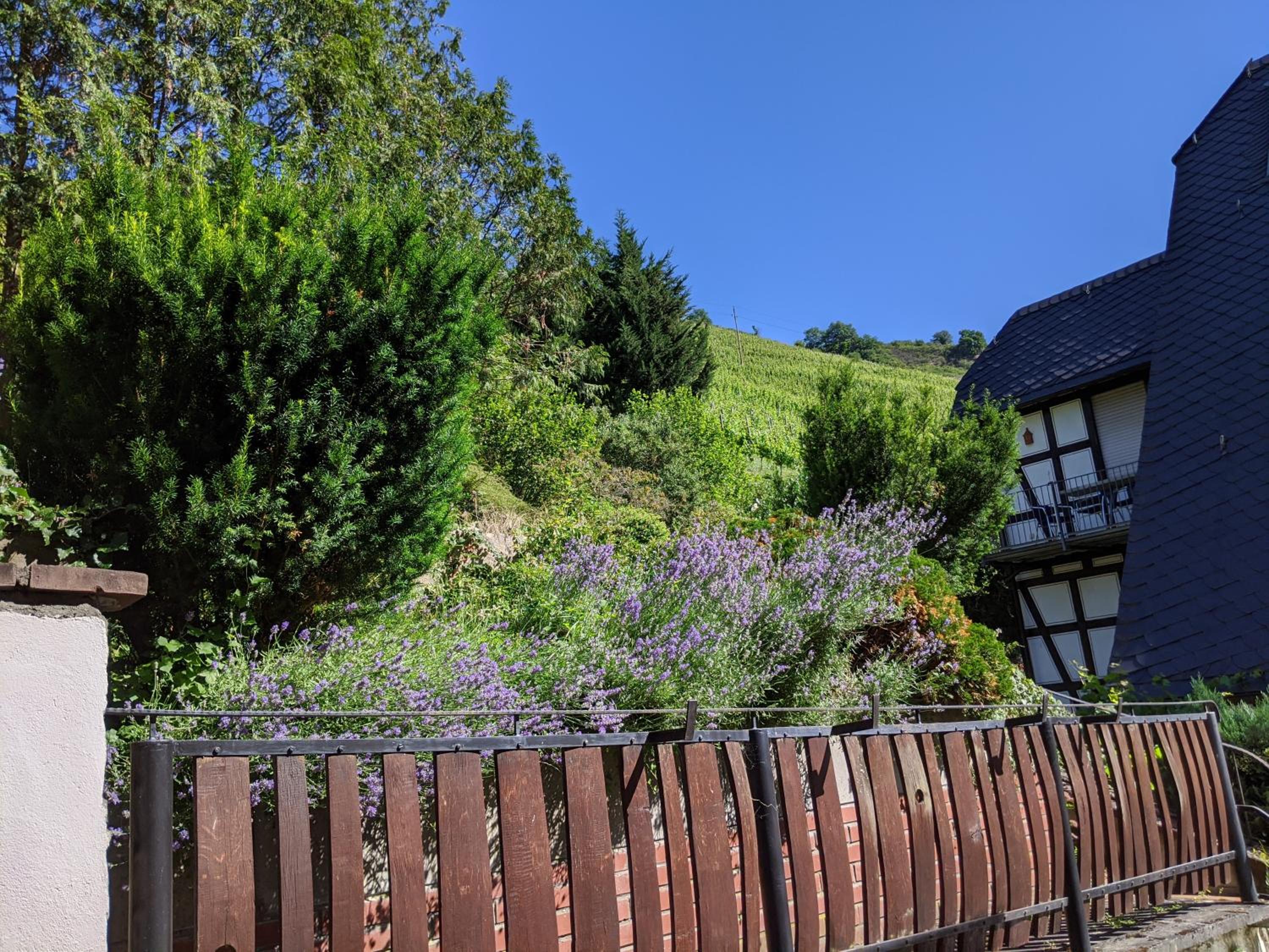 Hotel Pension Winzerhaus — 12