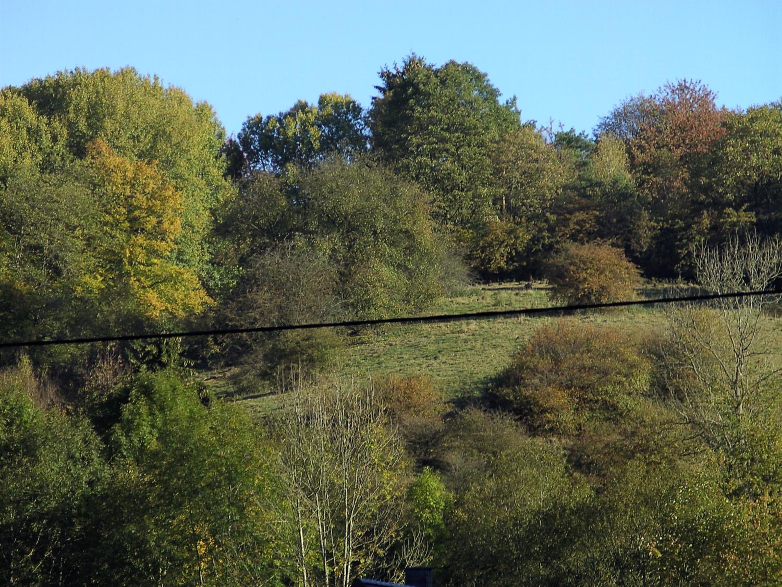 Hotel Finkenberg view 5