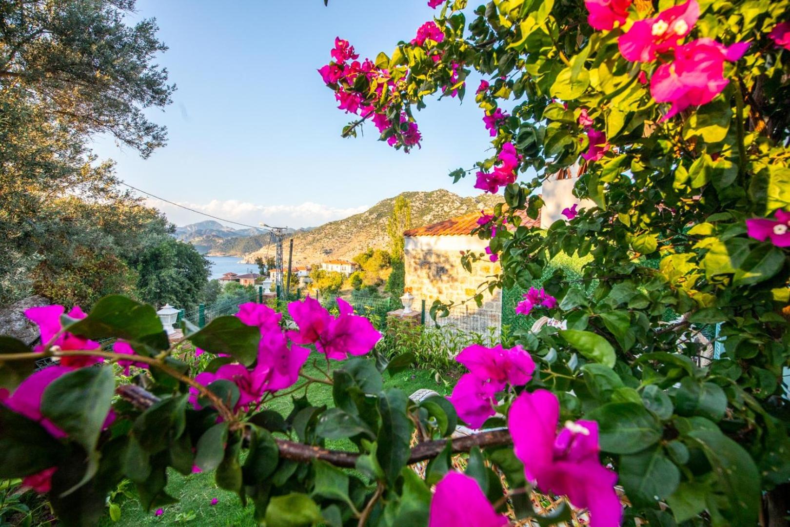 Villa Familia 2 Selimiye Daily Weekly Rentals