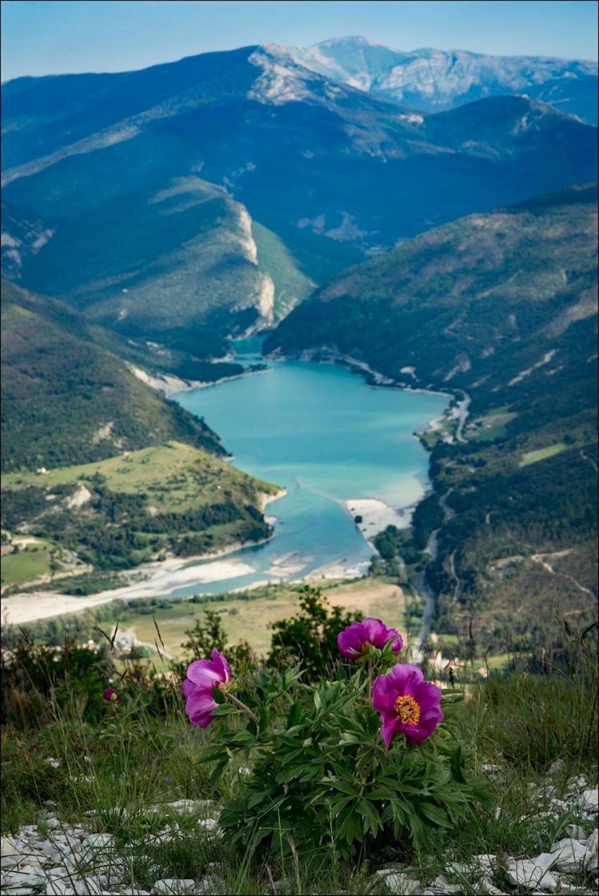 Le Chalet du Berger view 3