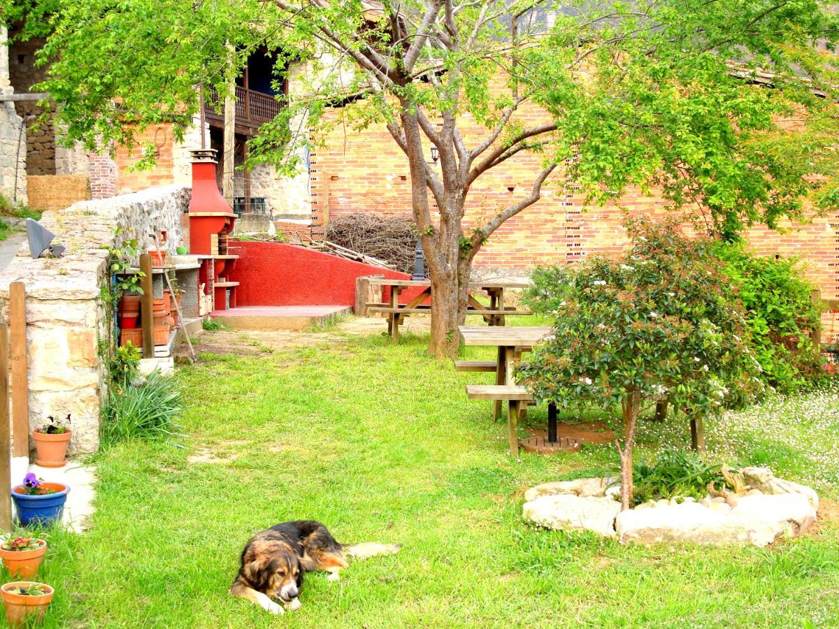 Photo 17