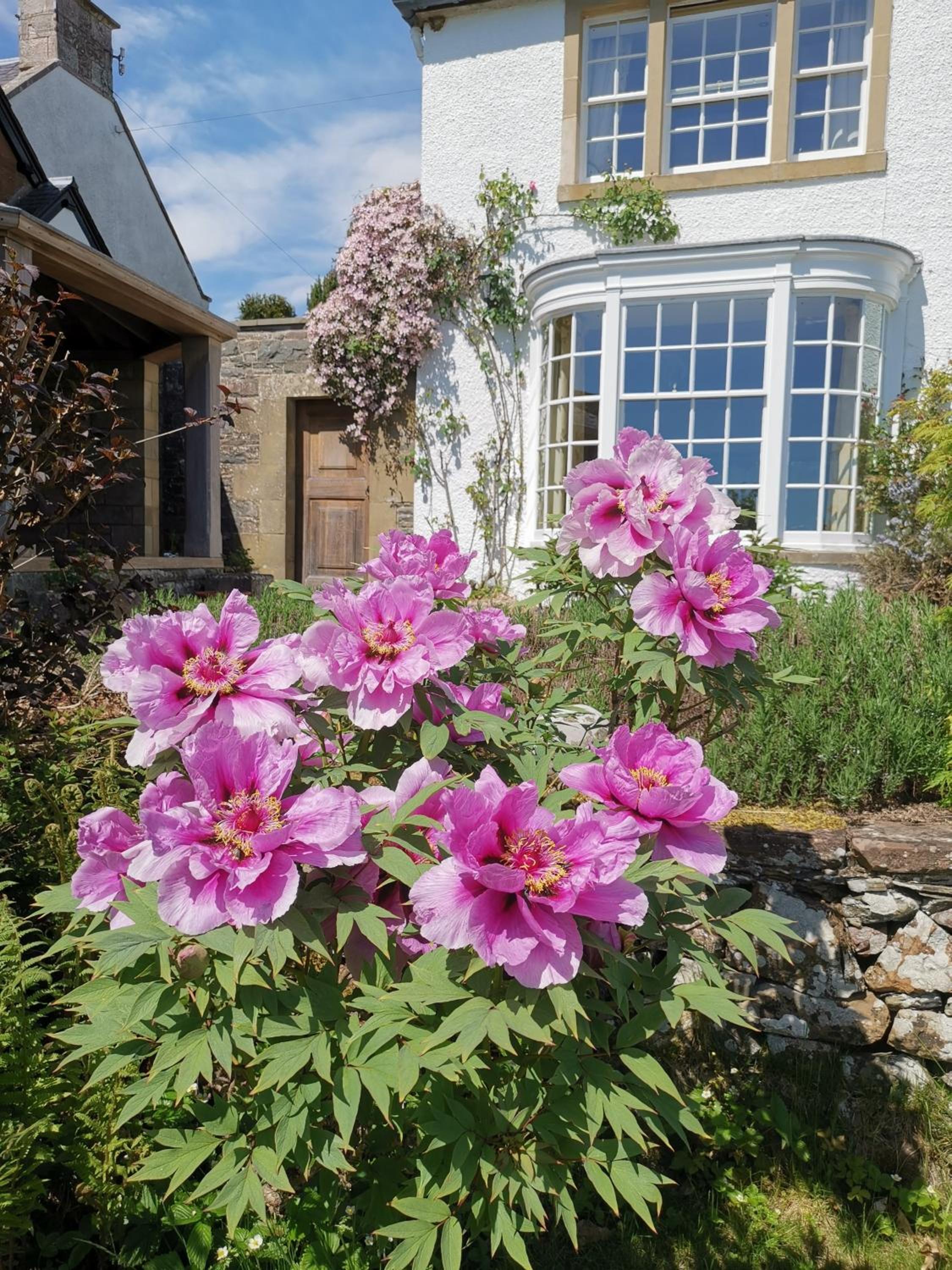 Bowden House B&B