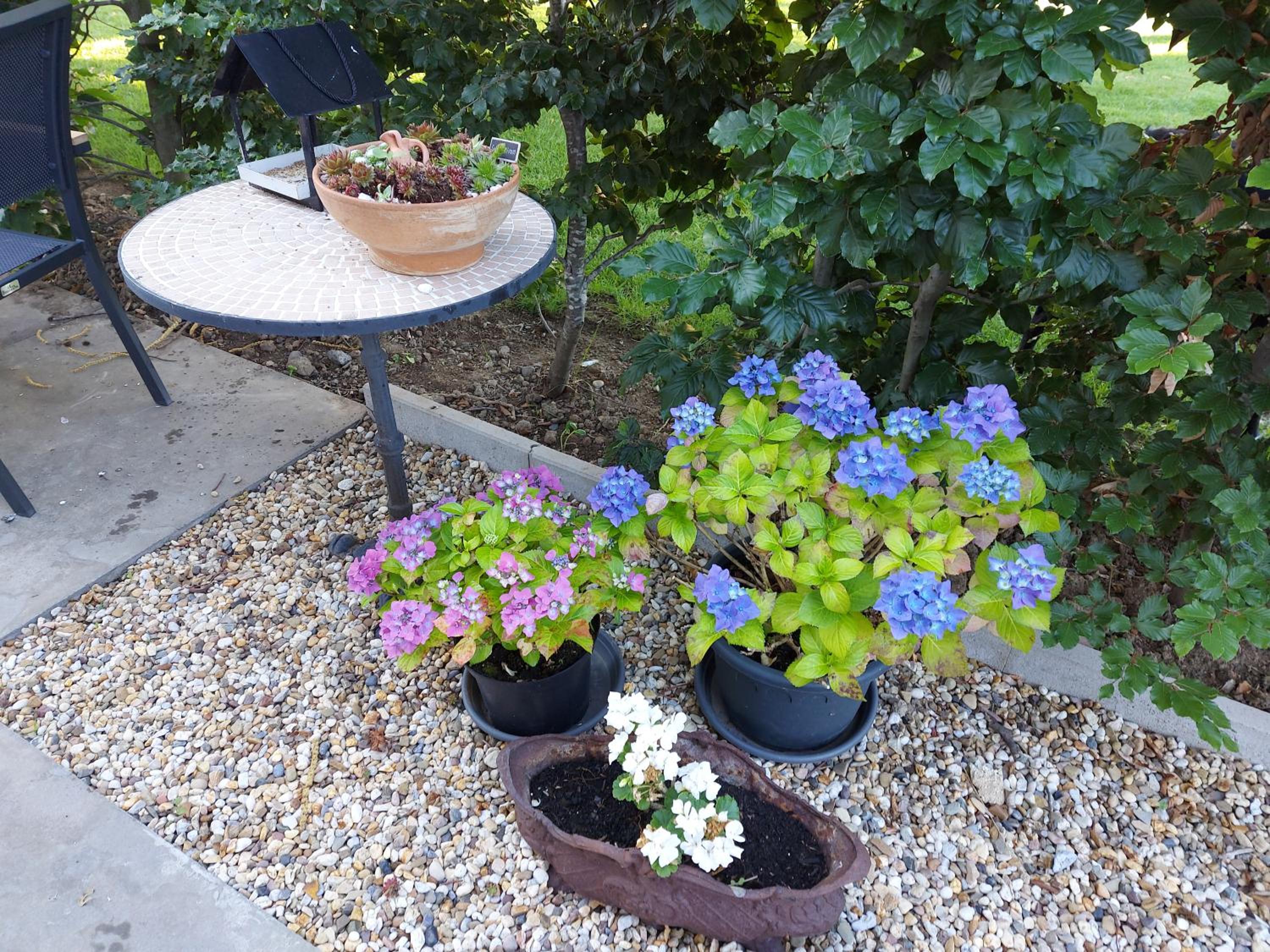Photo 12