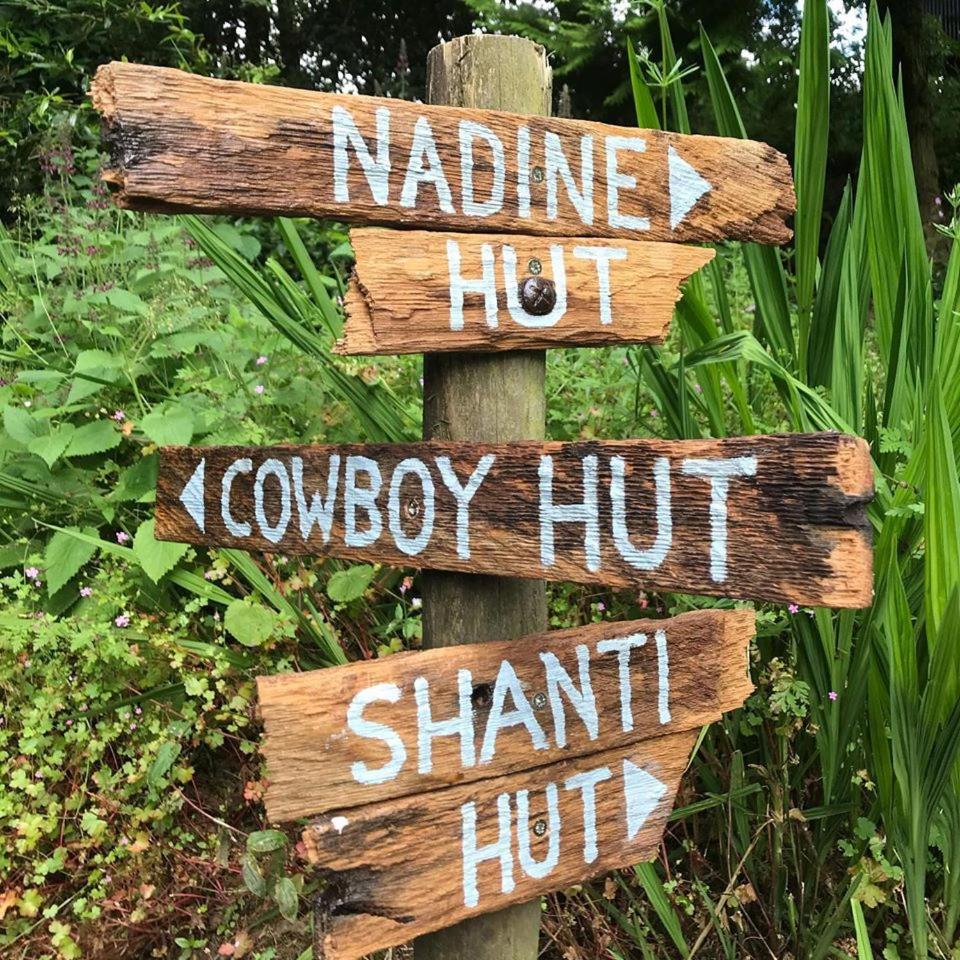 Llethrau Forest & Nature Retreats view 4