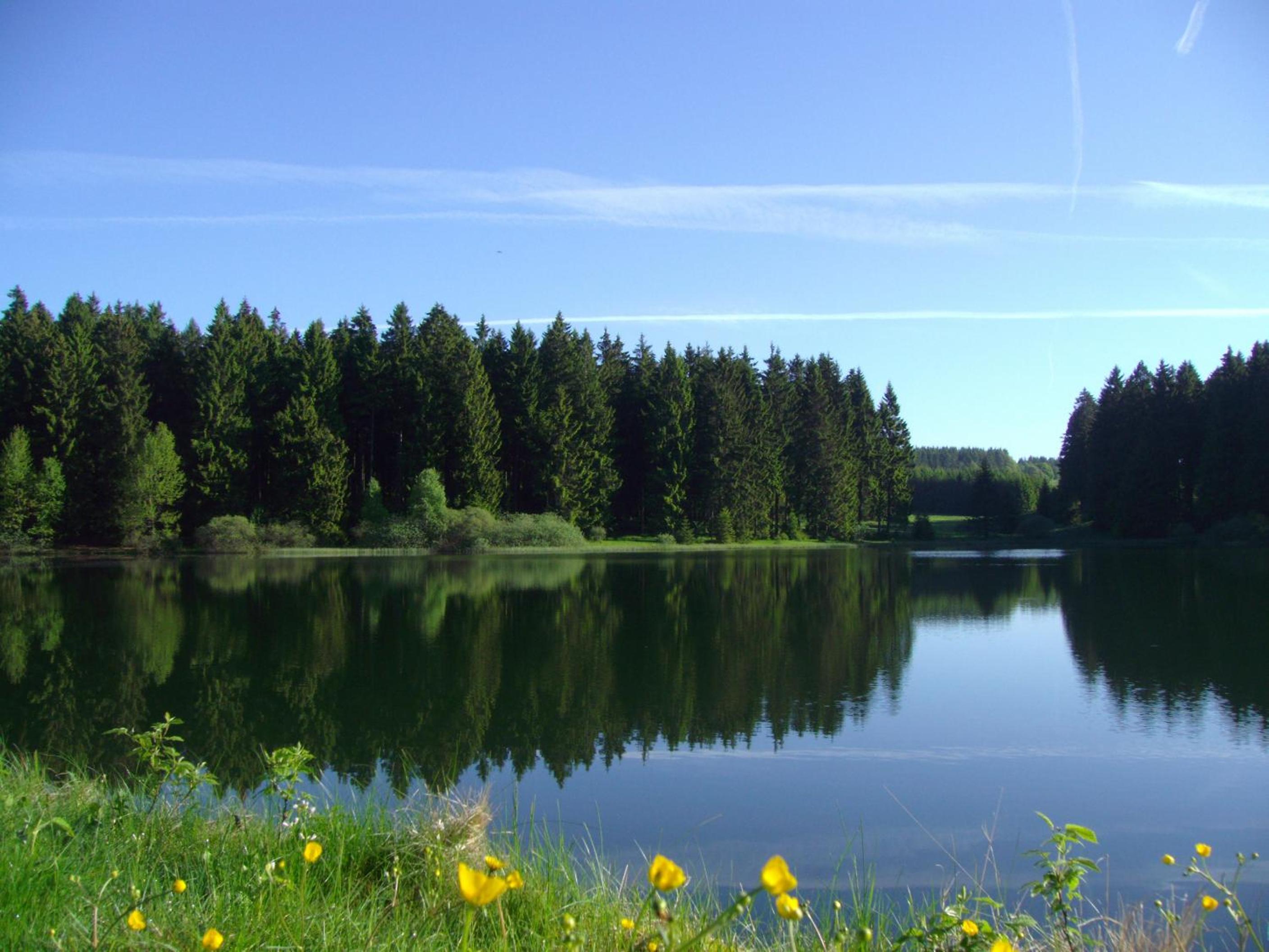 Flambacher Mühle view 2