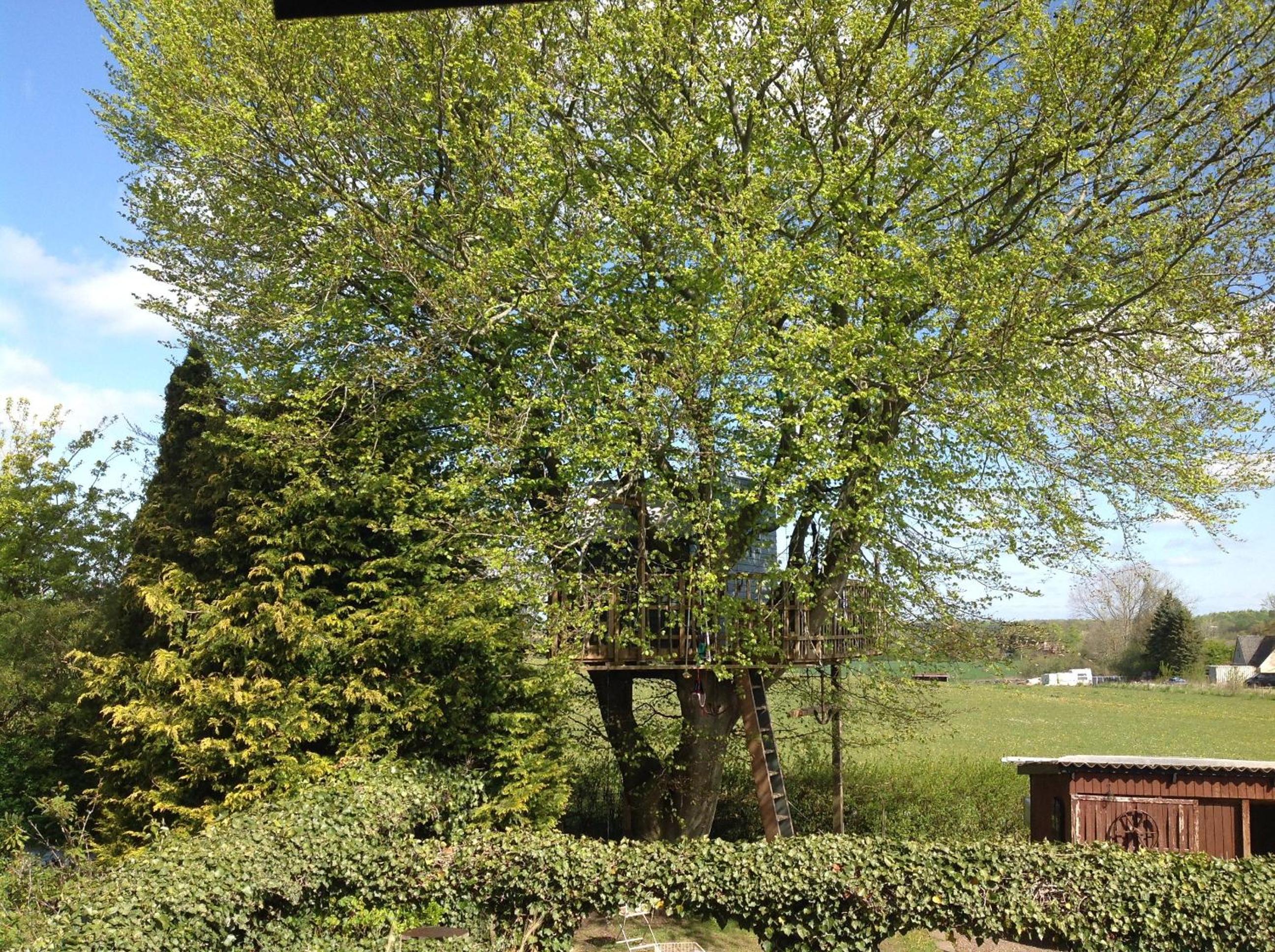 Treehouse escape
