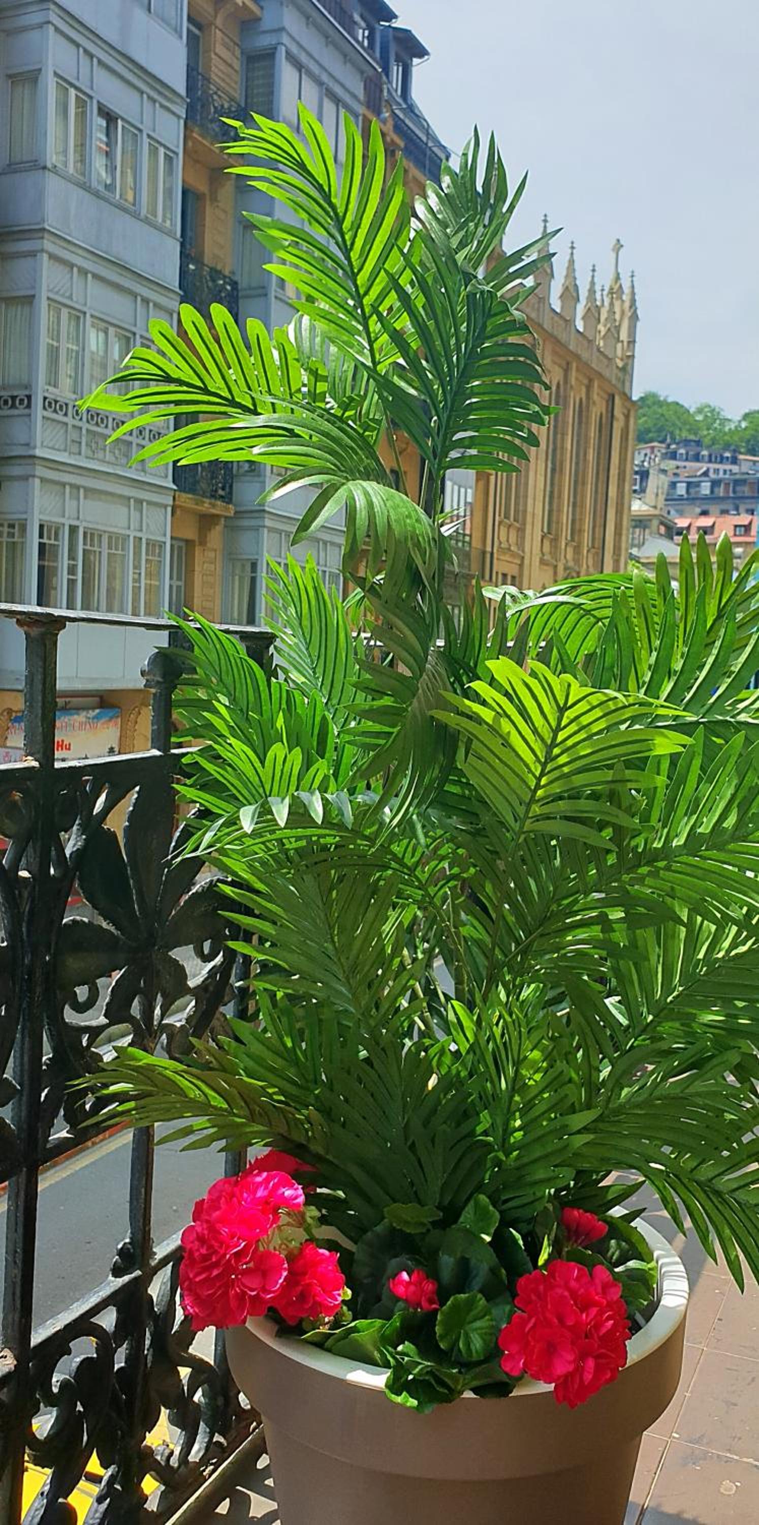 Pensión Nuevas Artes