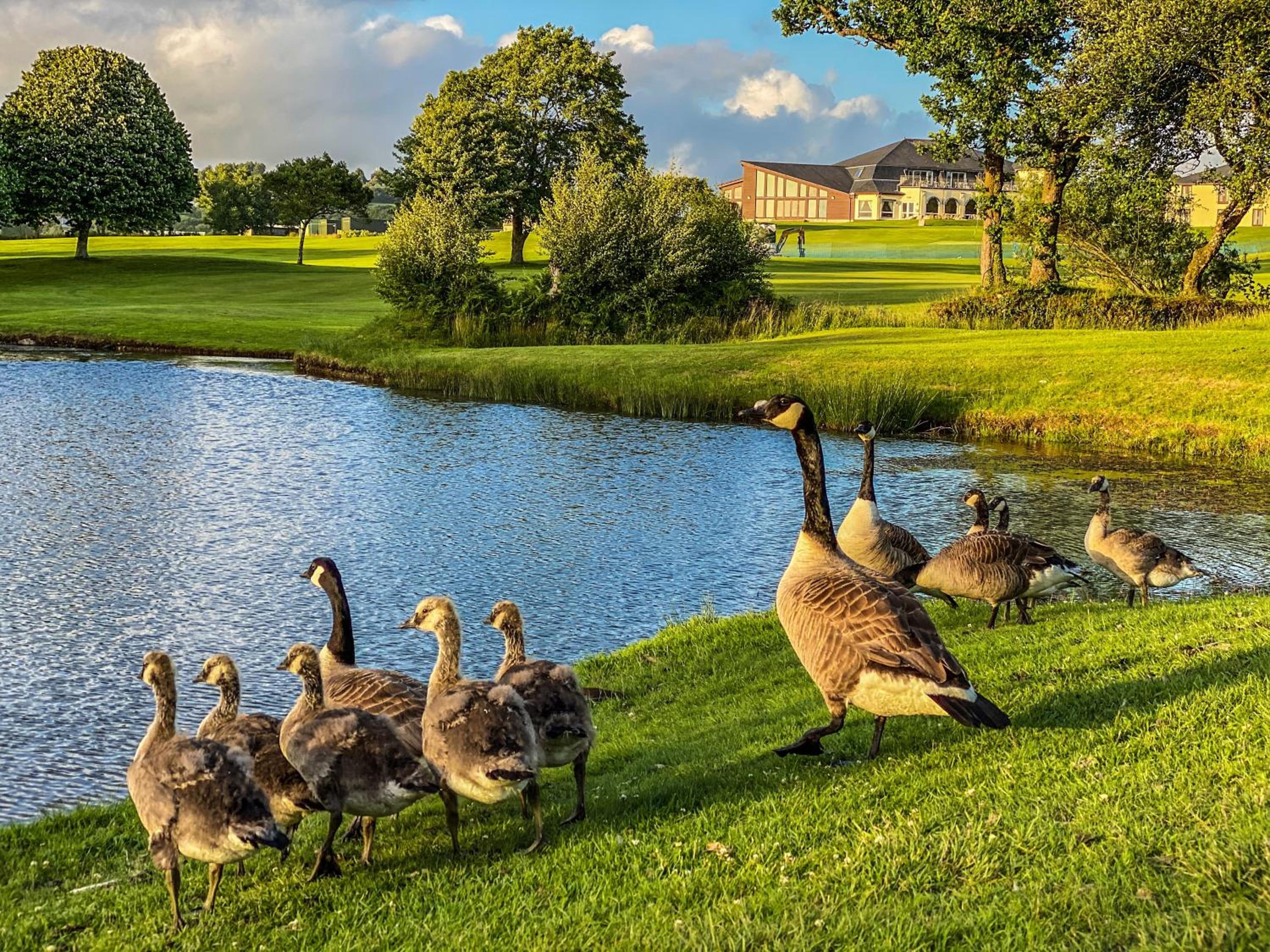 Bodmin Vacations - Lanhydrock Hotel  Golf Club - Property Image 7