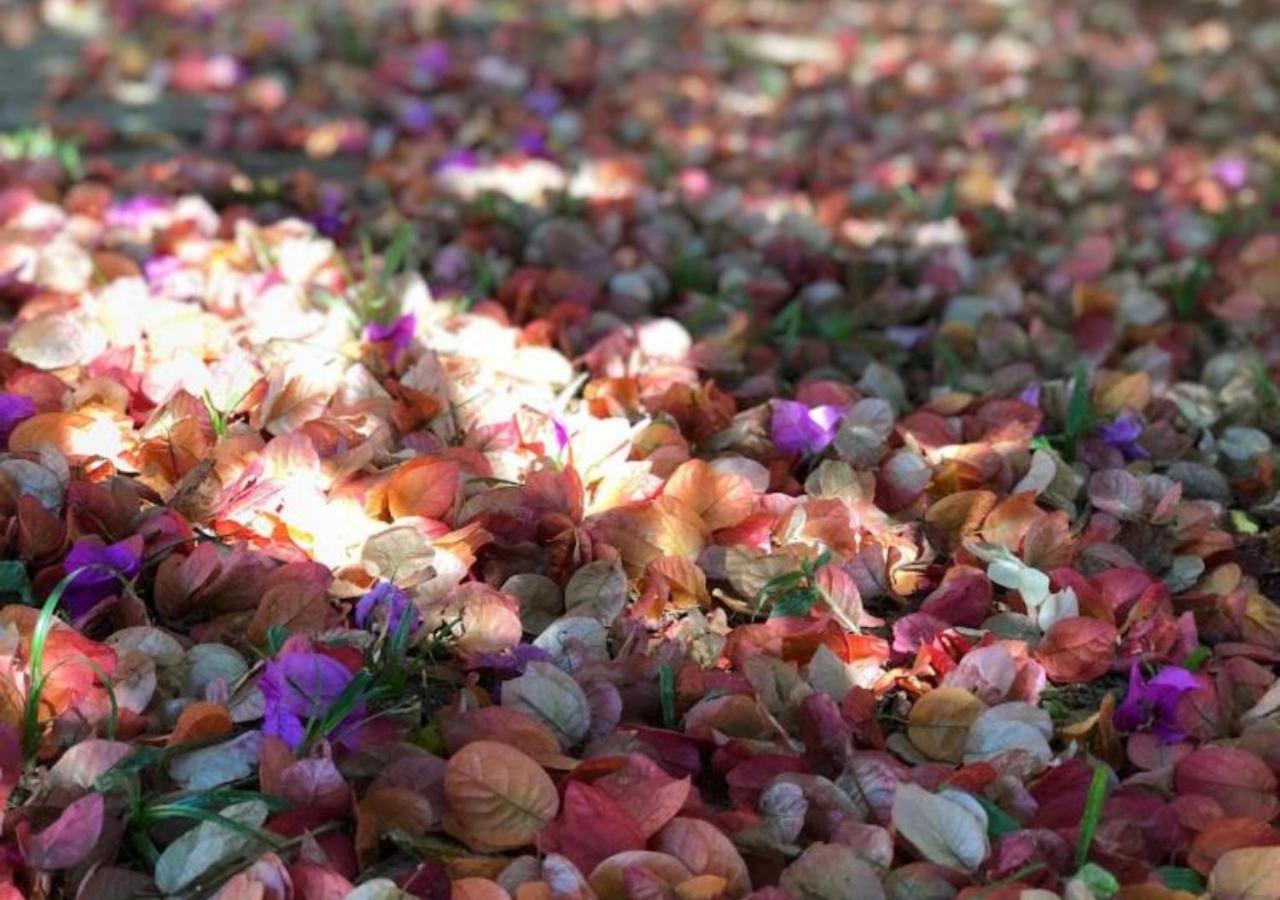 Pousada Halliny do Rosa