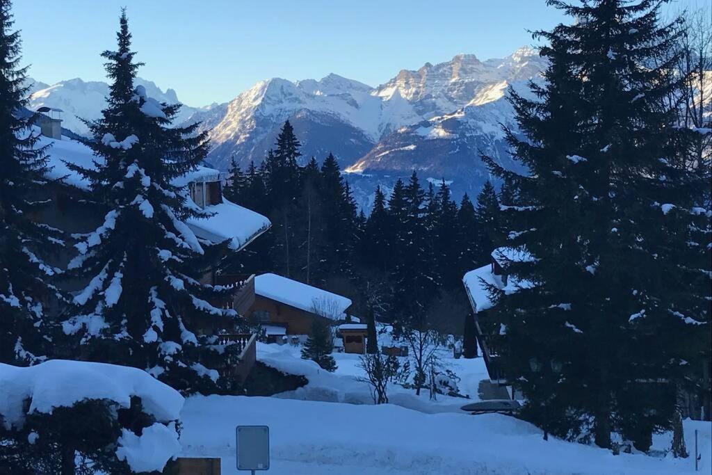 Route de la Résidence