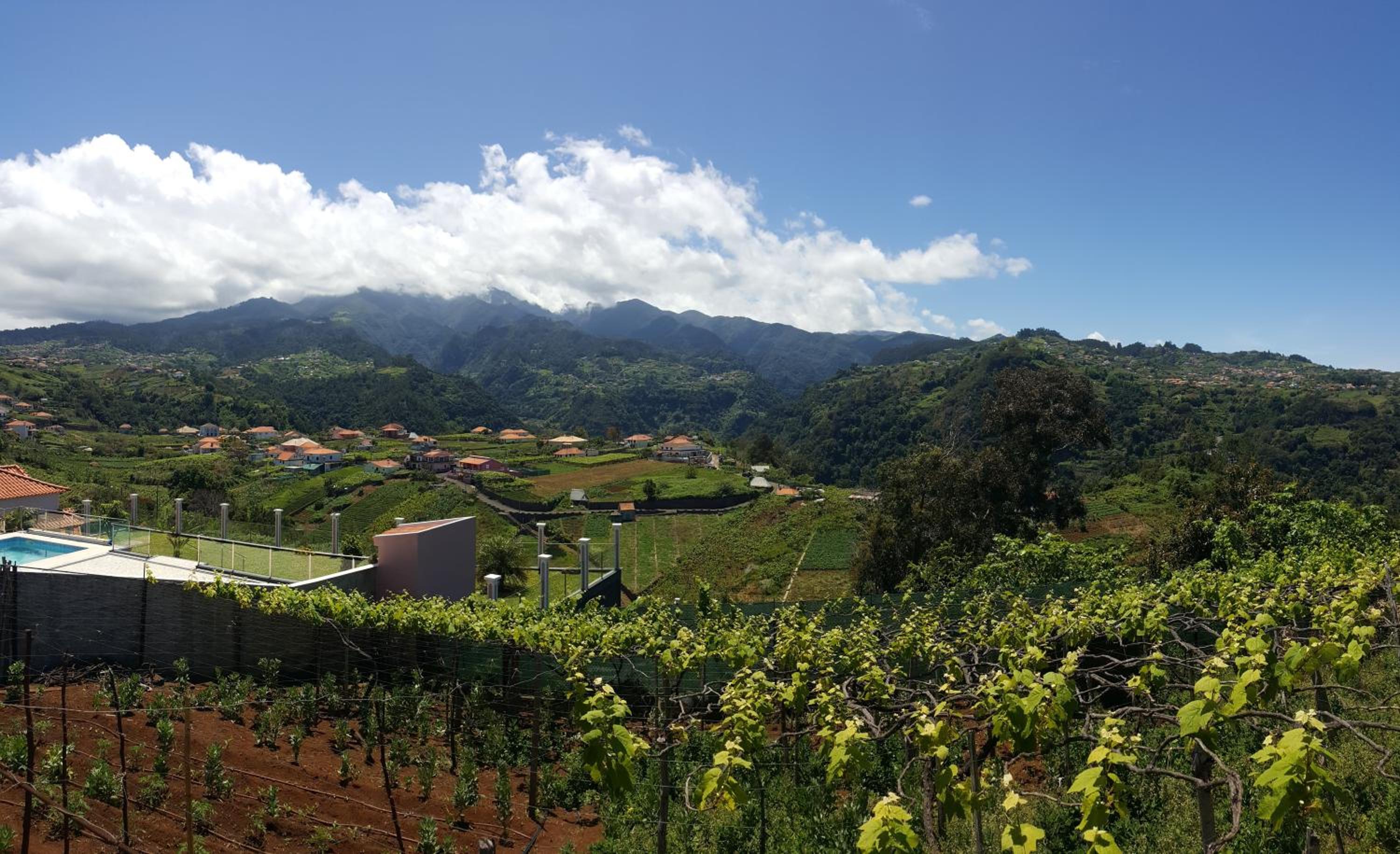 Quintinha do Álvaro - Holiday house