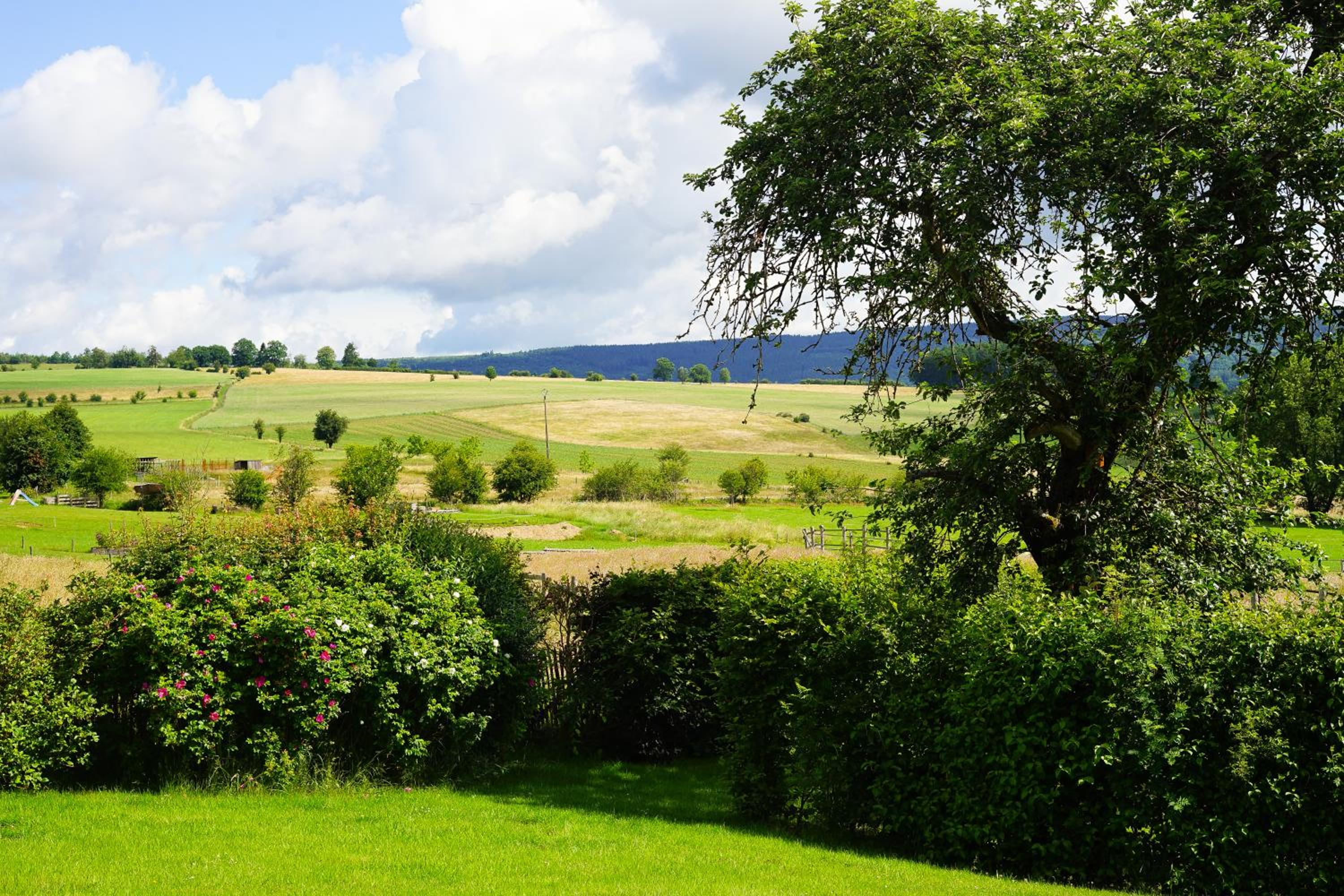 Domaine du Vieux Chêne