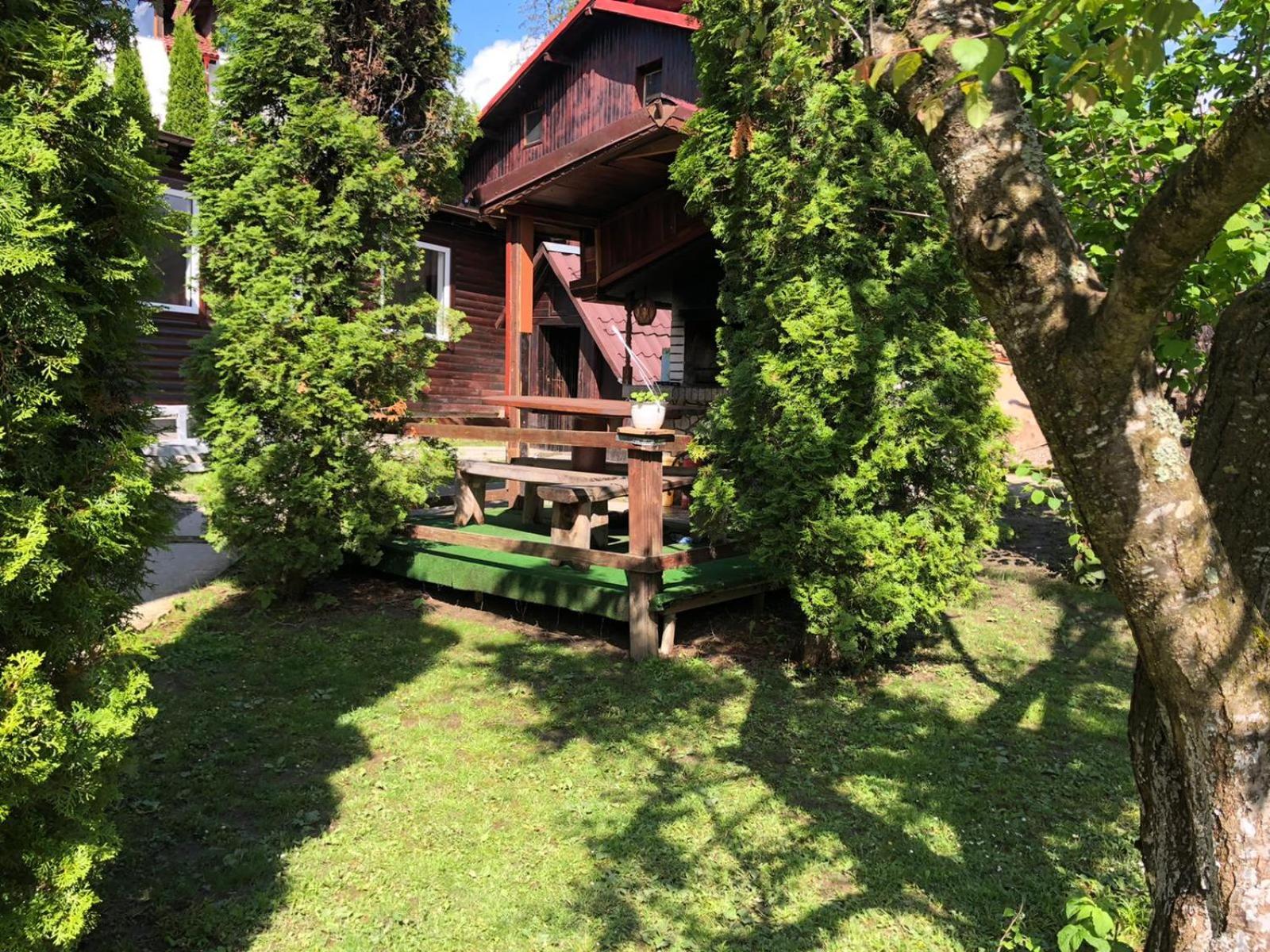 Photo 11