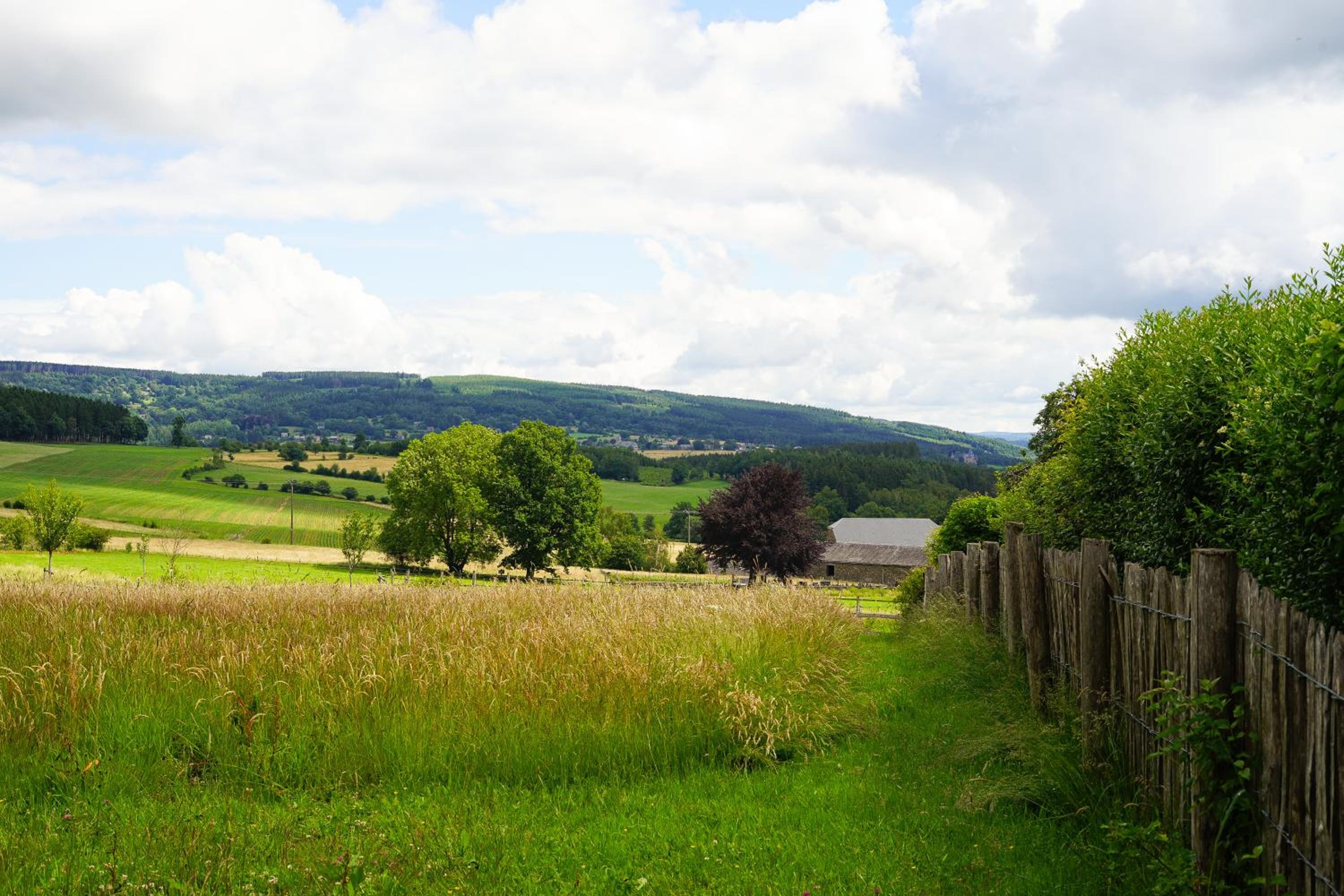 Domaine du Vieux Chêne