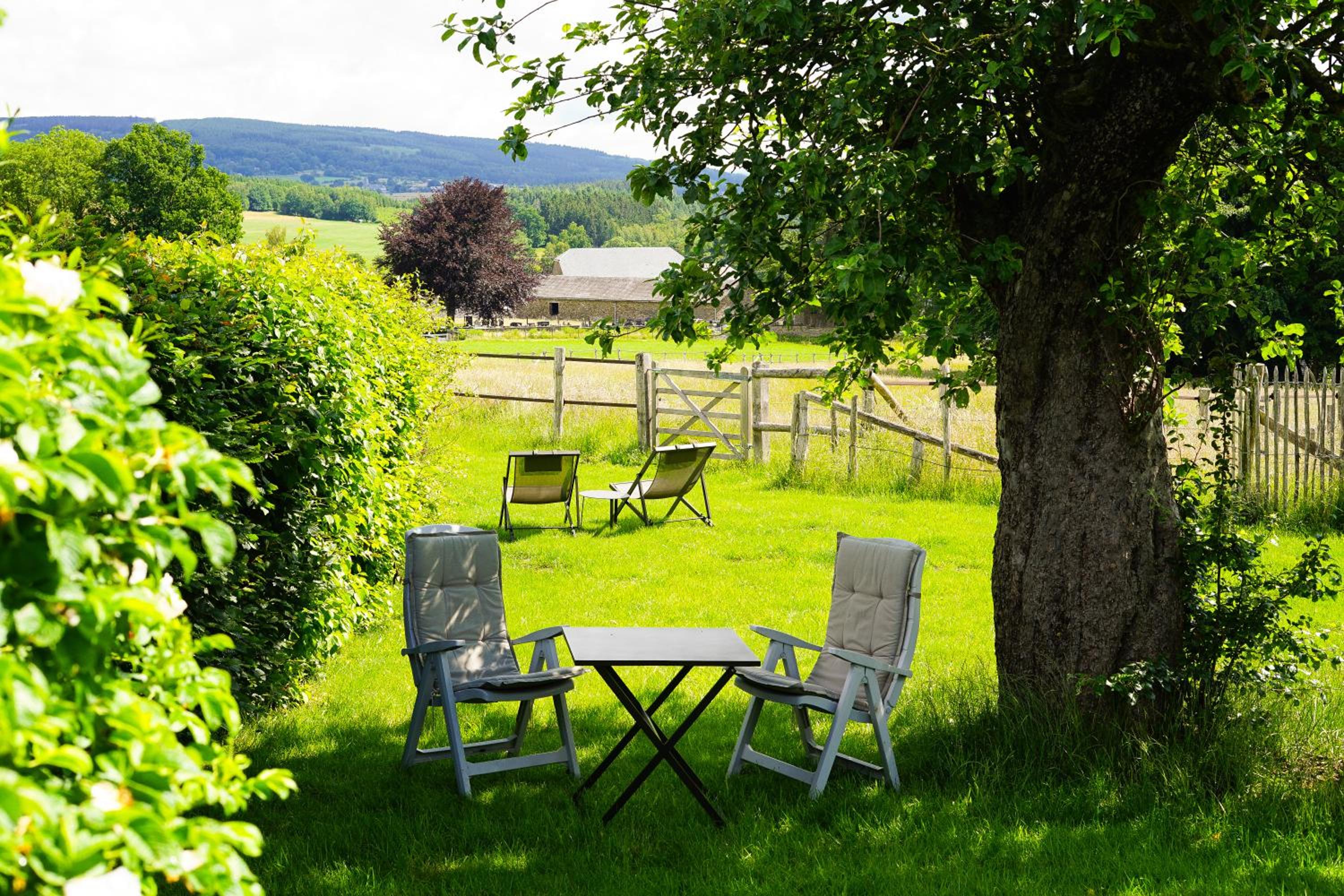 Domaine du Vieux Chêne