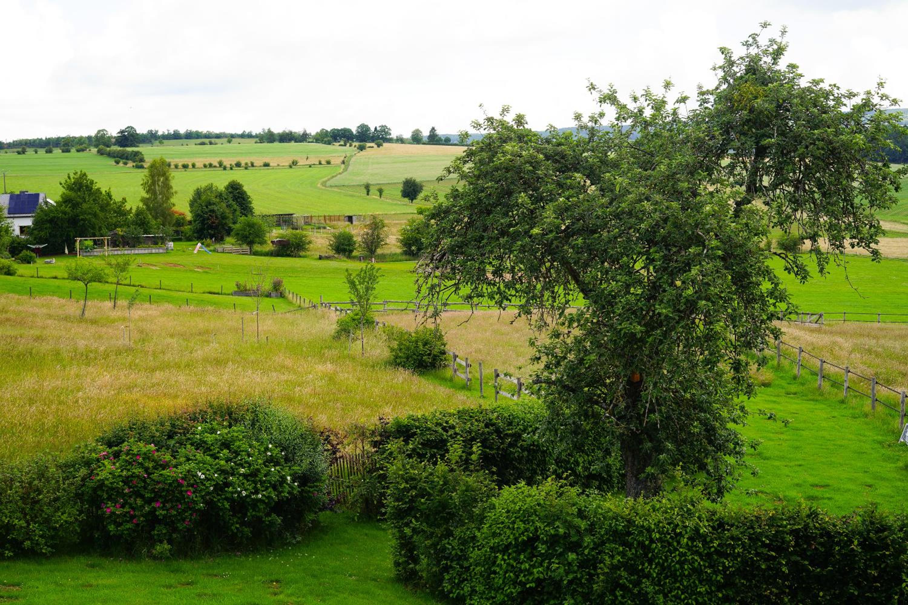 Domaine du Vieux Chêne