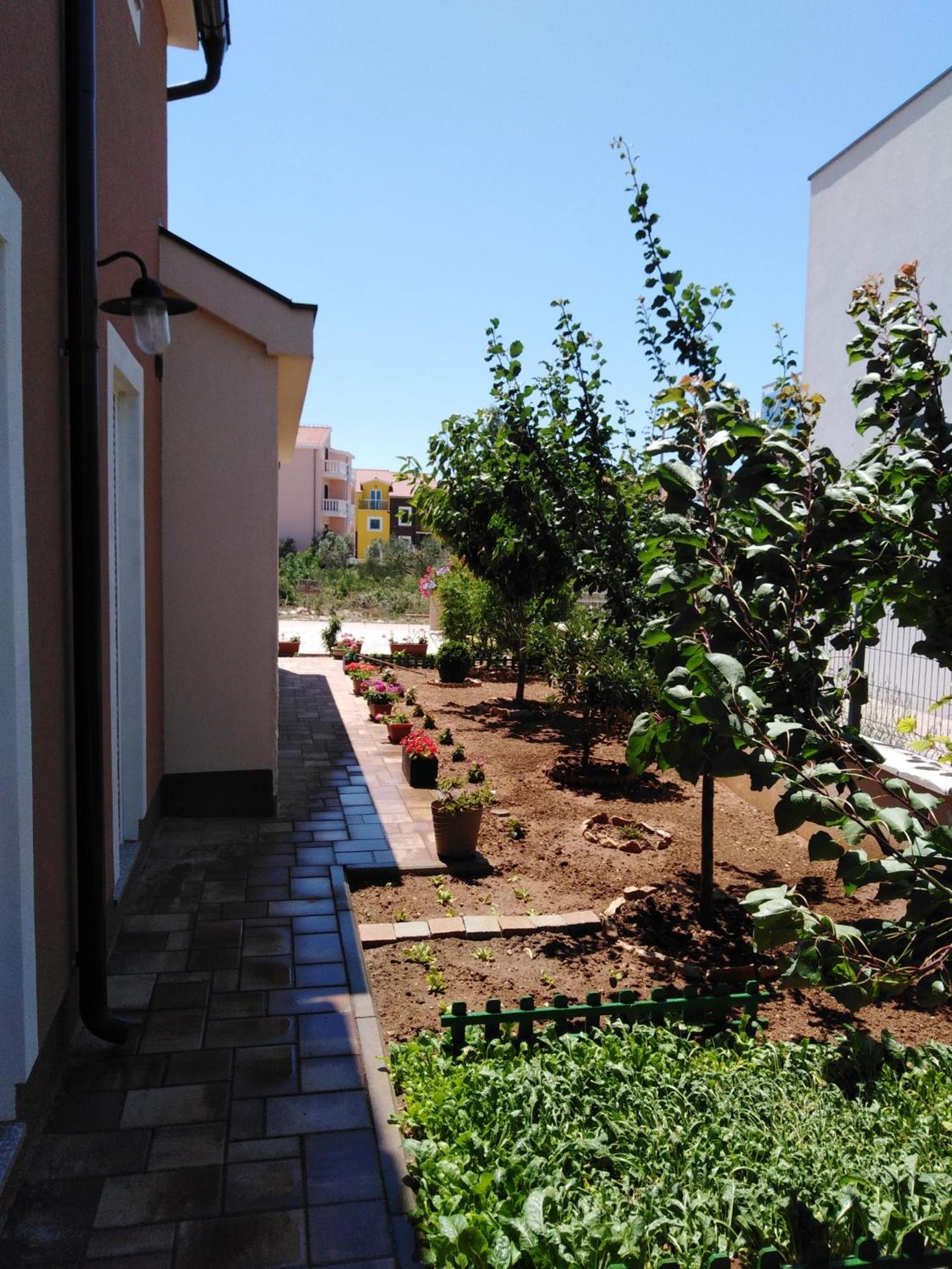 Apartment Ninić view 5