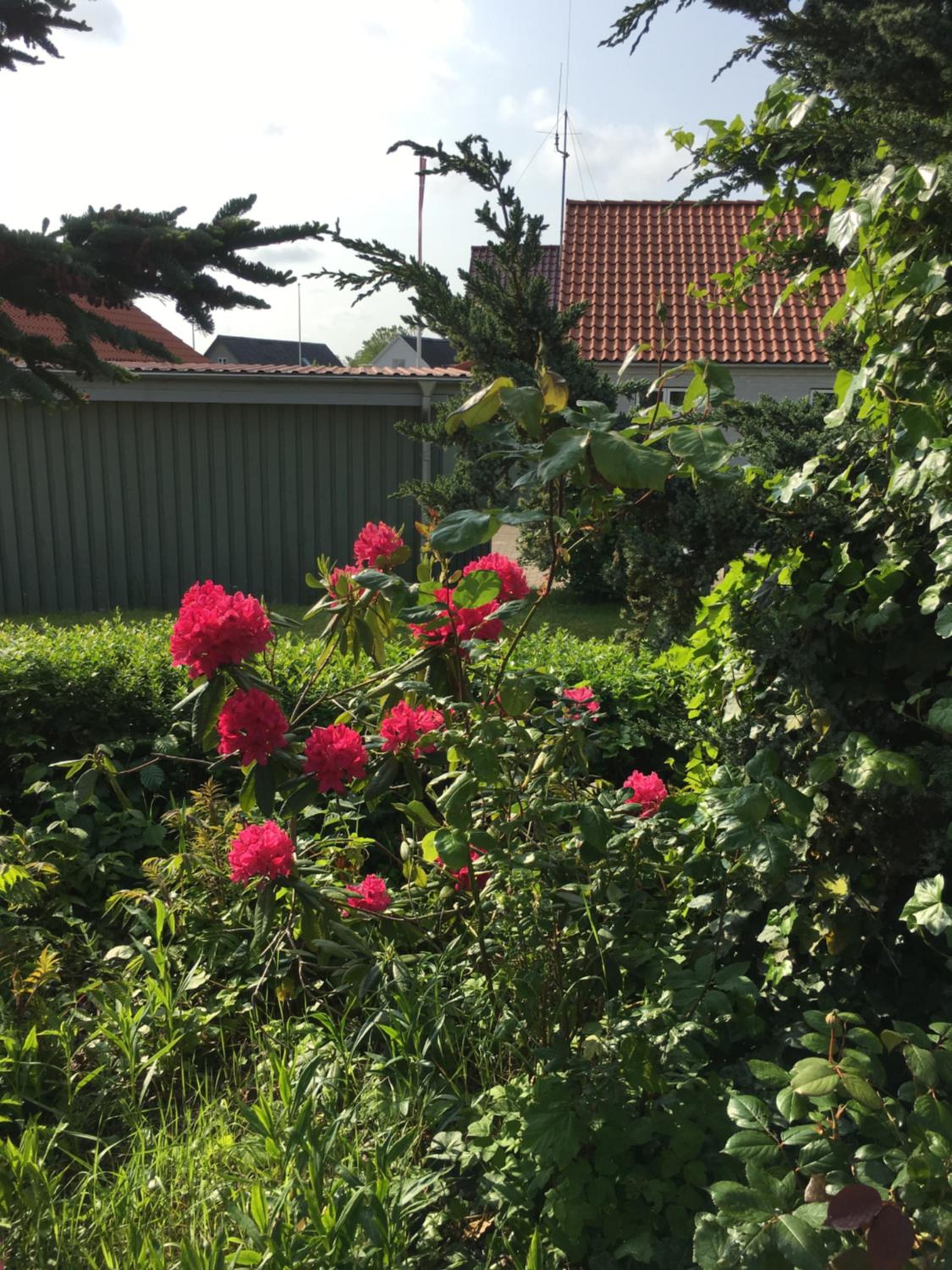 anneks til bondehus