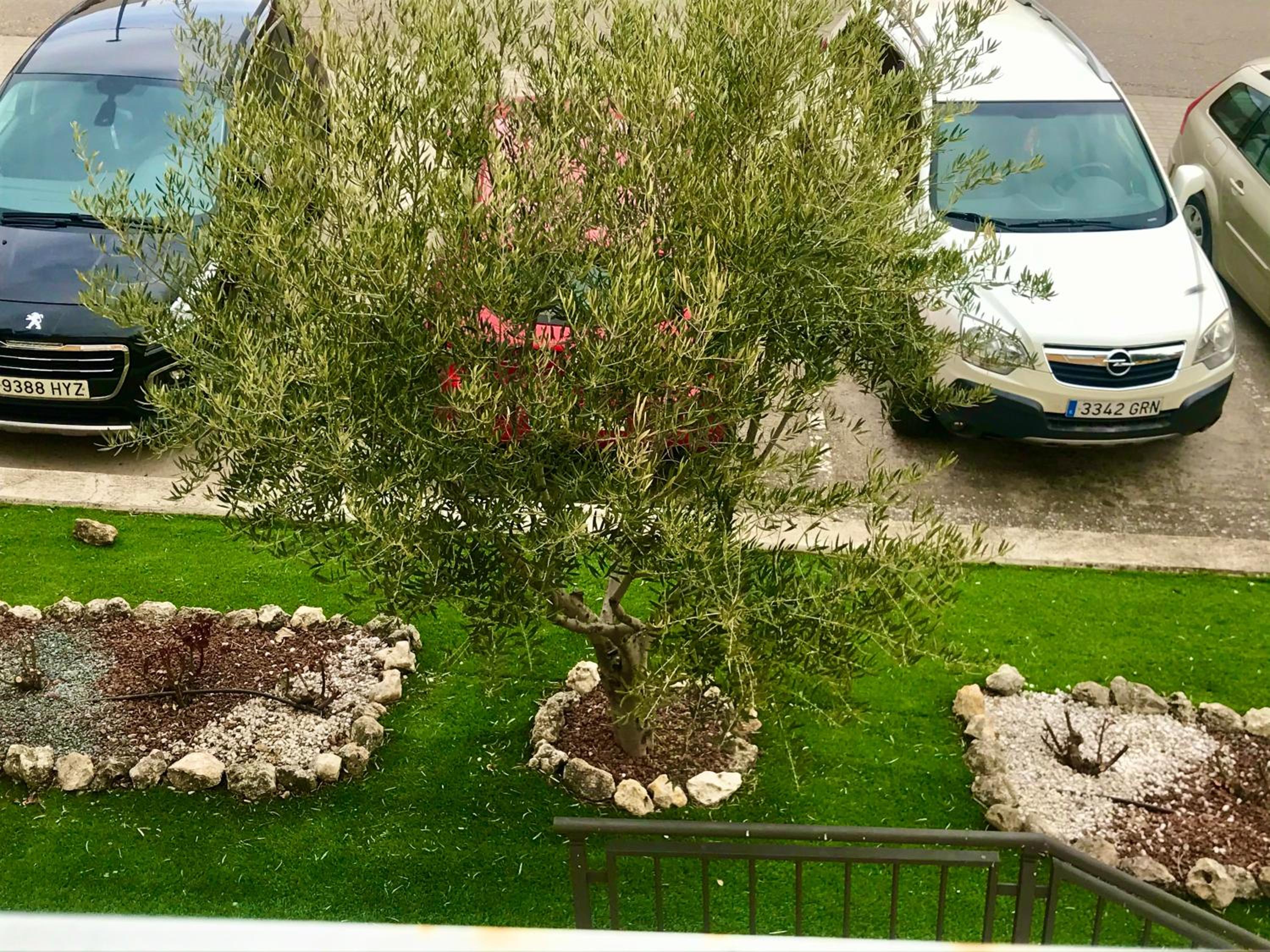 Photo 19