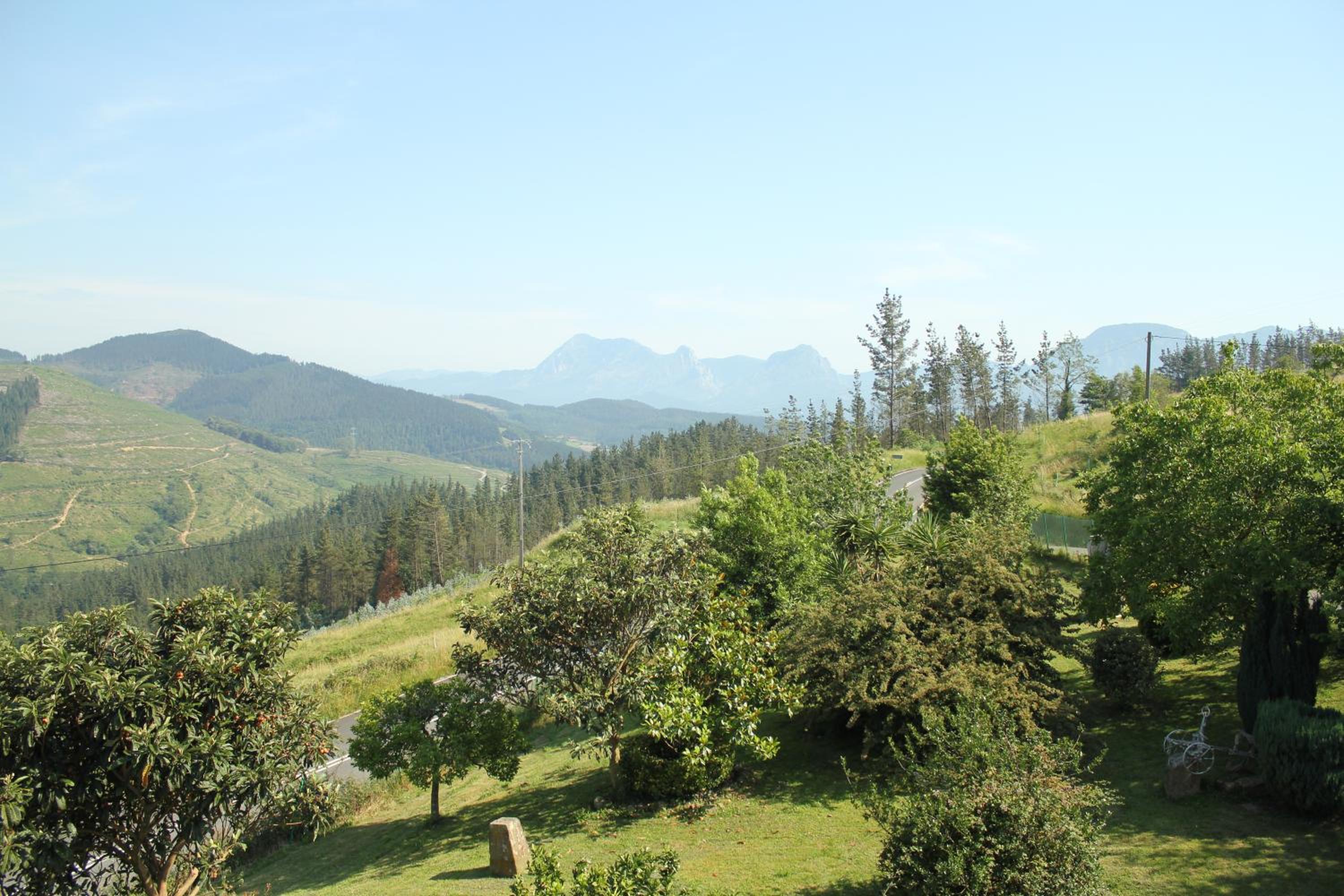 Photo 22
