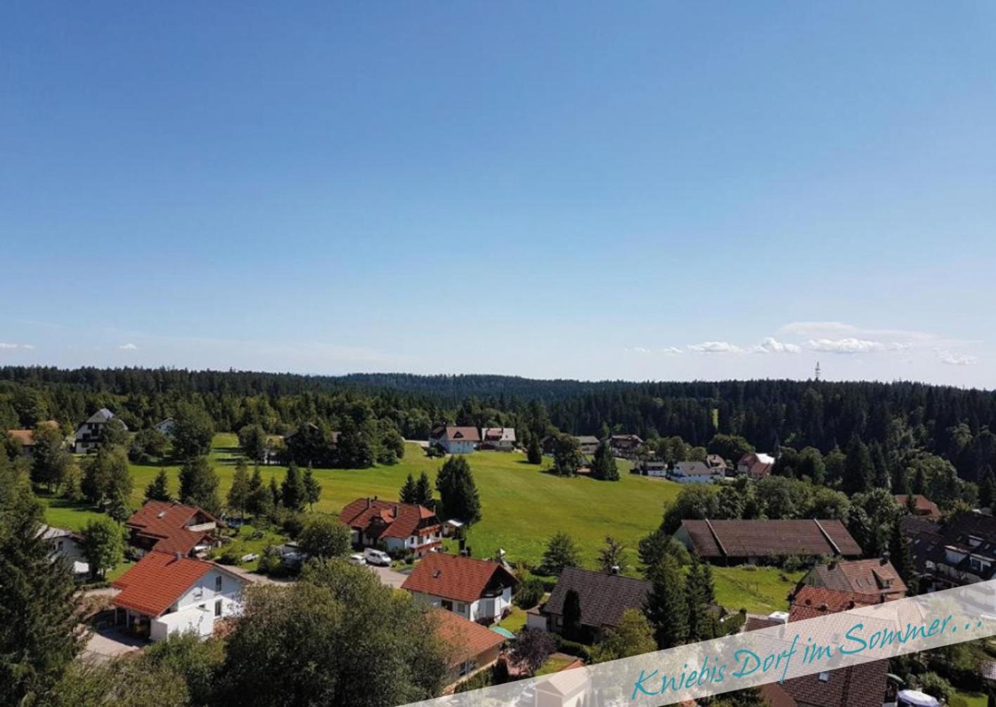 Fewo Nationalpark Schwarzwald