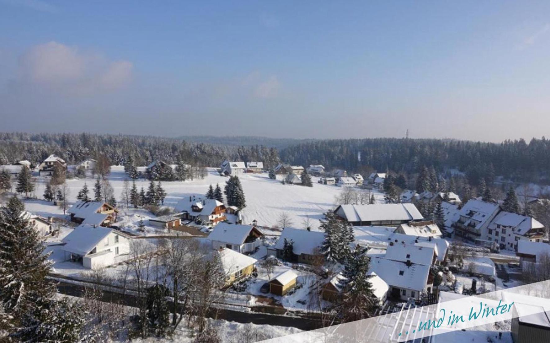 Fewo Nationalpark Schwarzwald