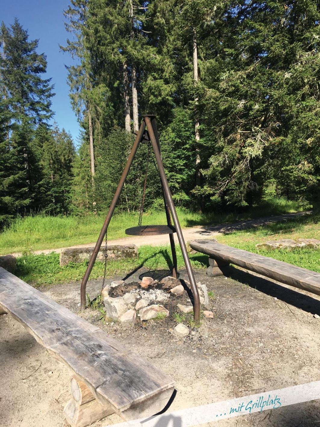 Fewo Nationalpark Schwarzwald