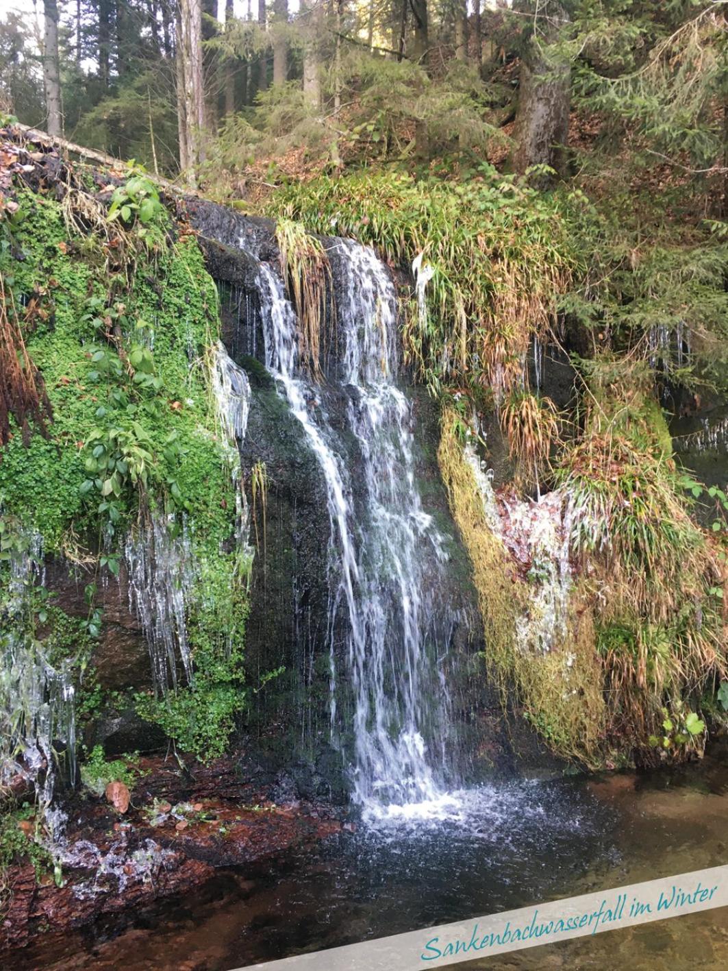 Fewo Nationalpark Schwarzwald