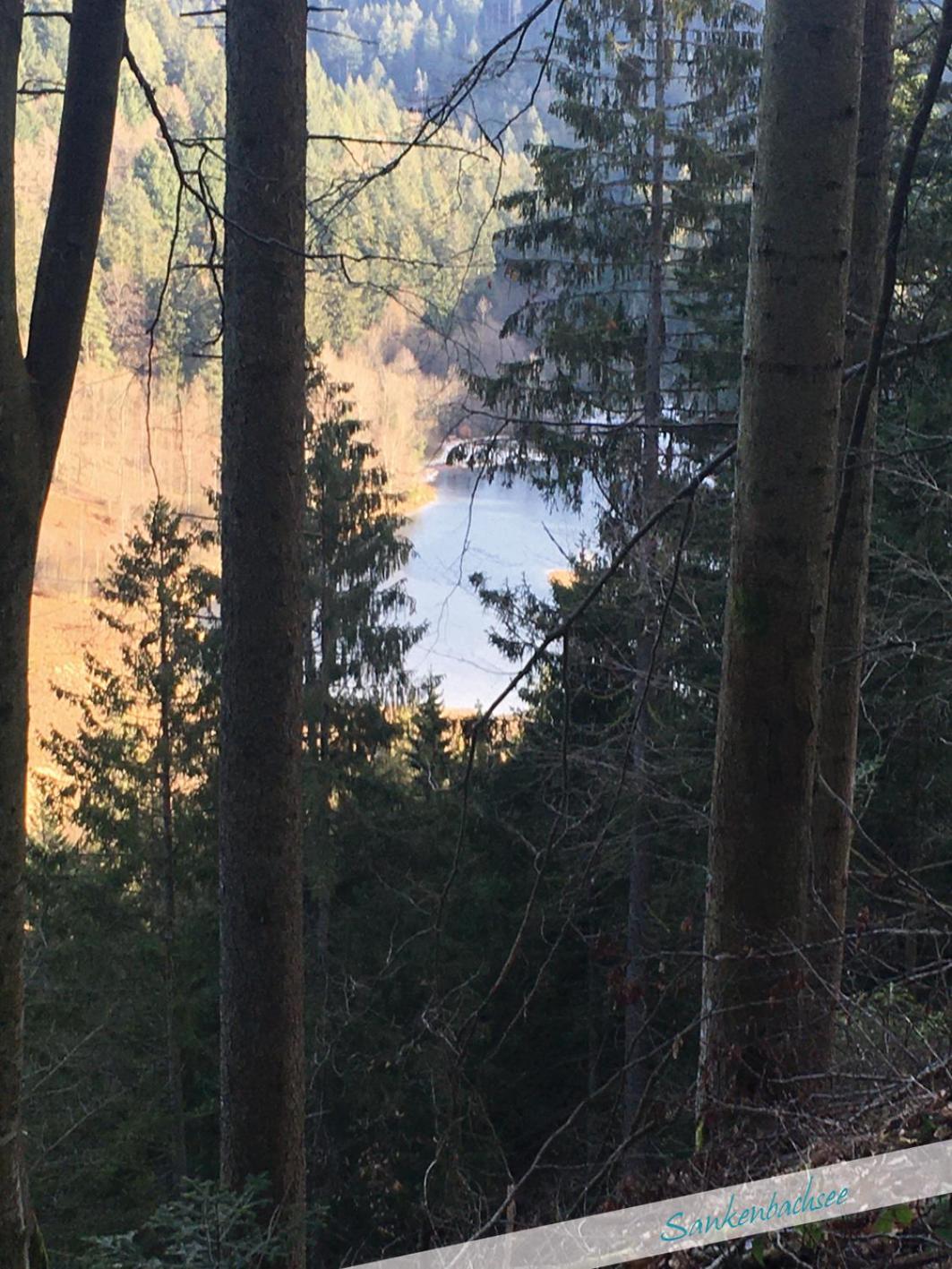 Fewo Nationalpark Schwarzwald