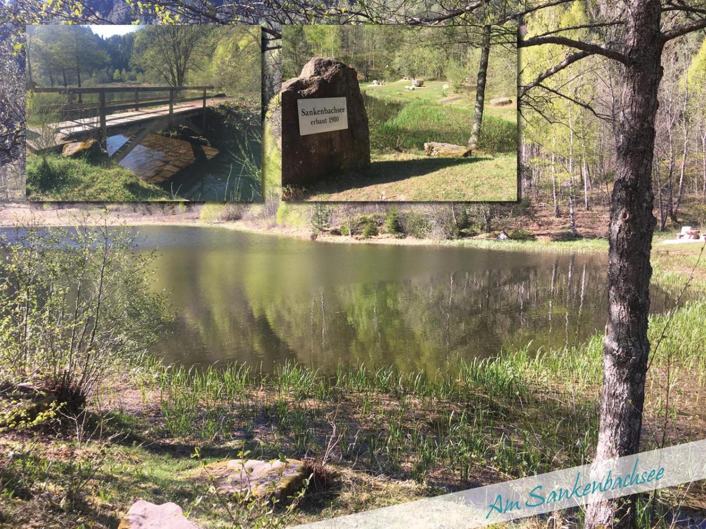 Fewo Nationalpark Schwarzwald