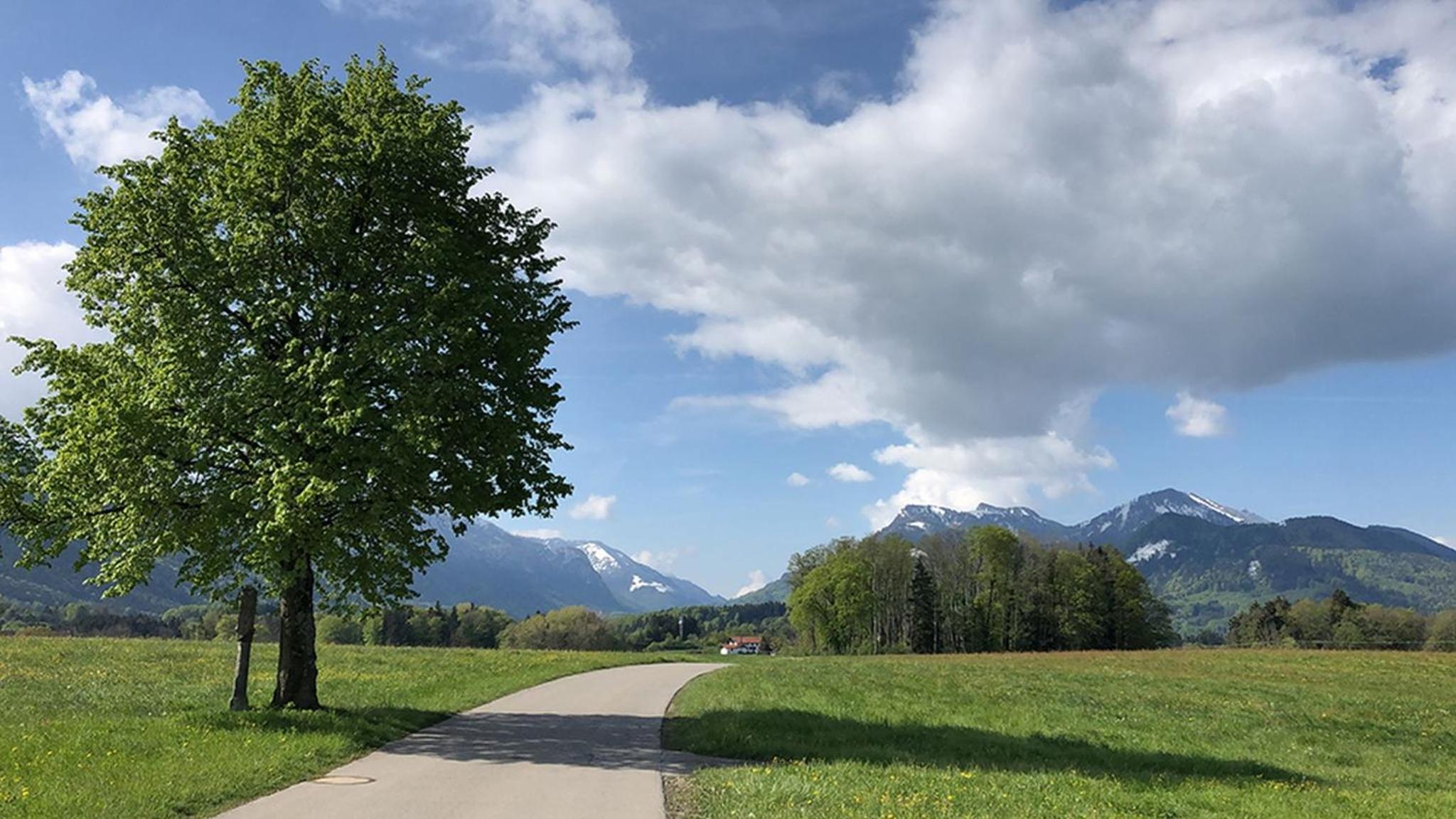 Ferienwohnung Florina view 5
