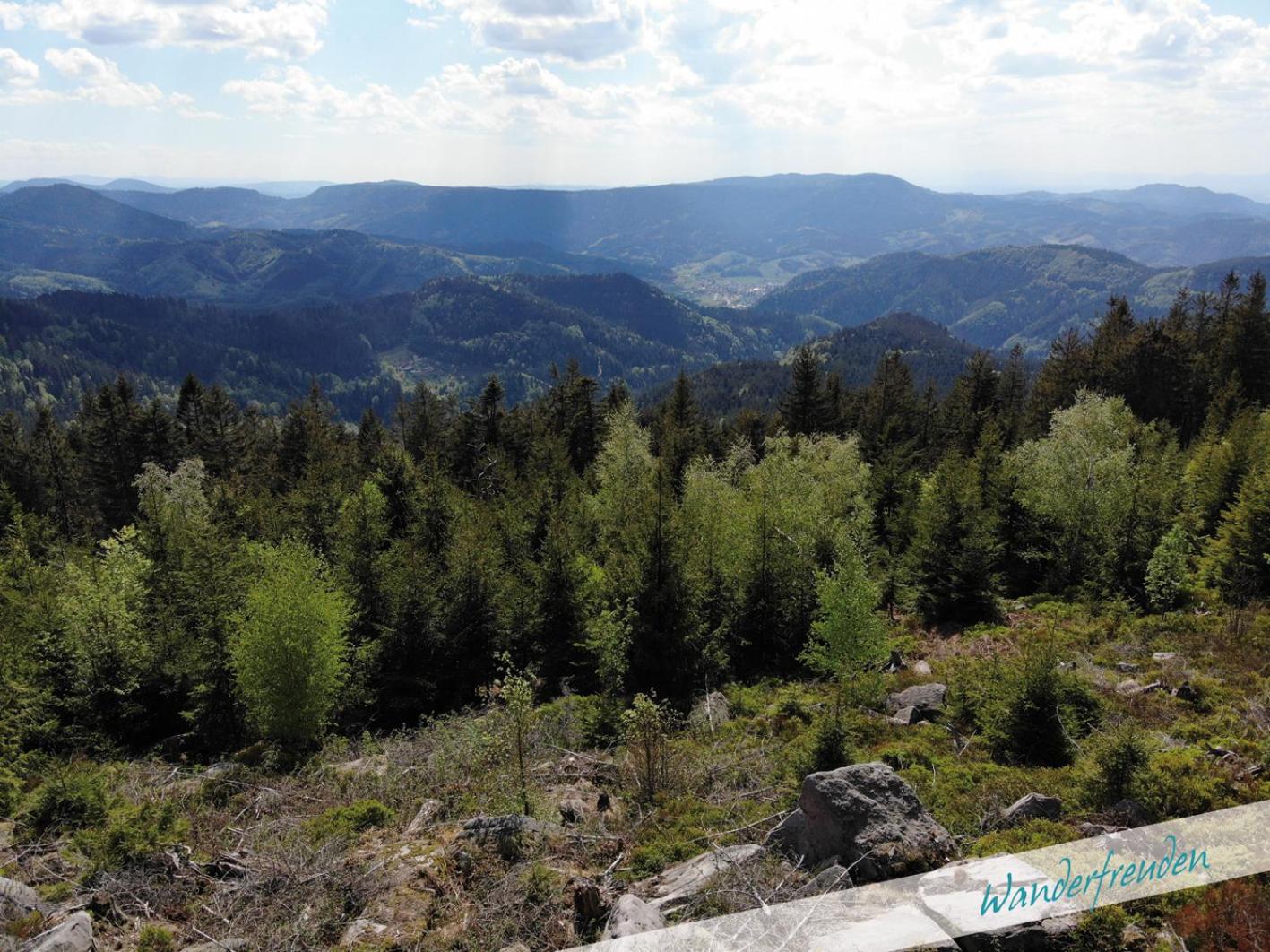 Fewo Nationalpark Schwarzwald