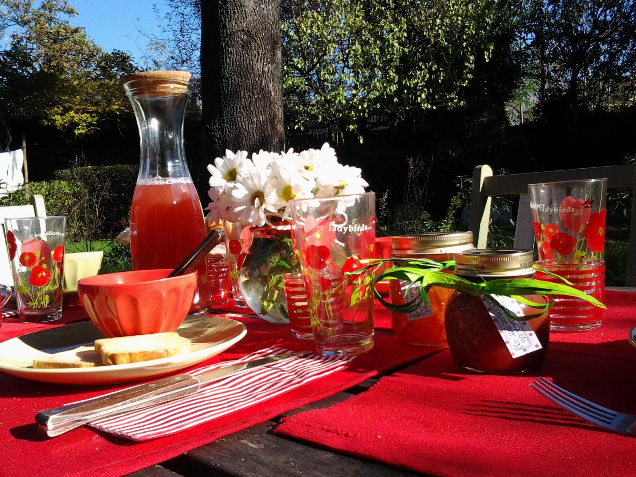 Il Pettirosso B&B