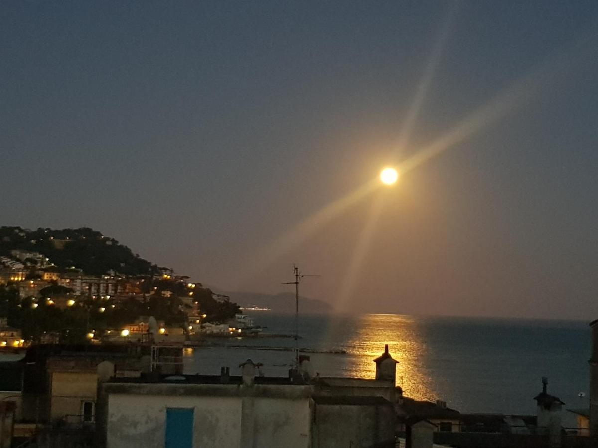 Seaview Rapallo's Heart Skyline photo 5