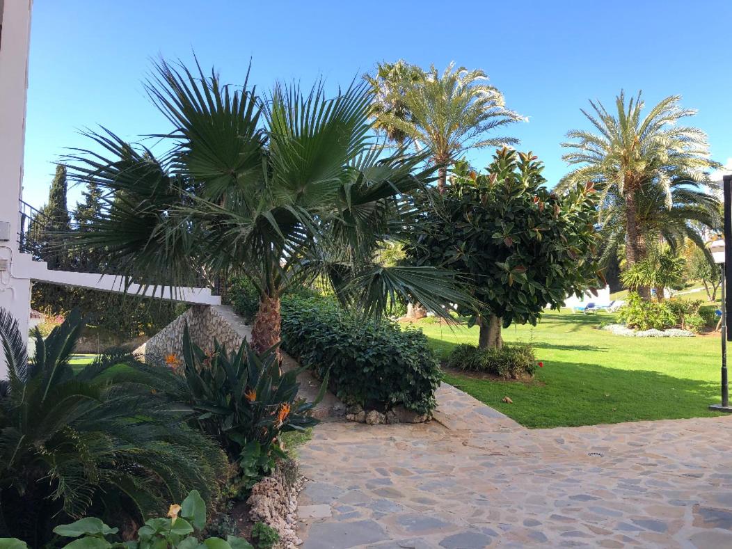 Paradise in Riviera by the Sea photo 4