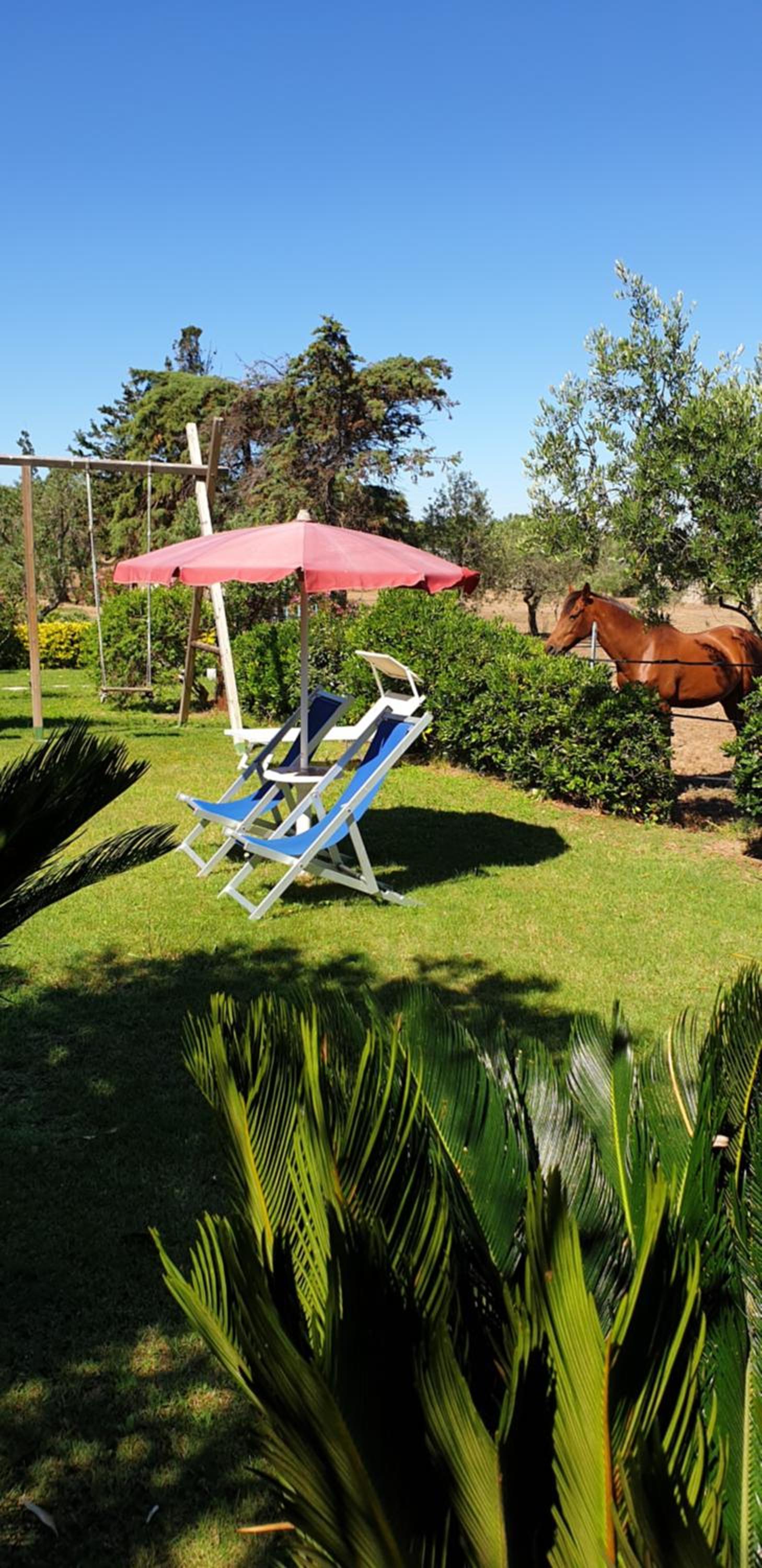 Antico Casolare Sorso-Tourist Rental view 4