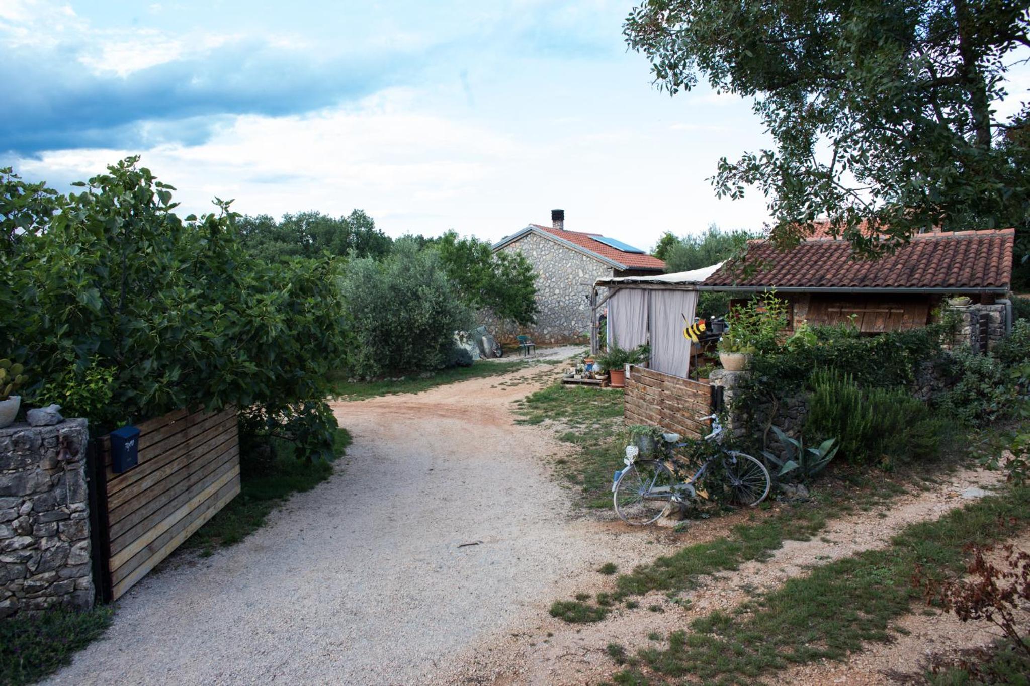 Photo 28