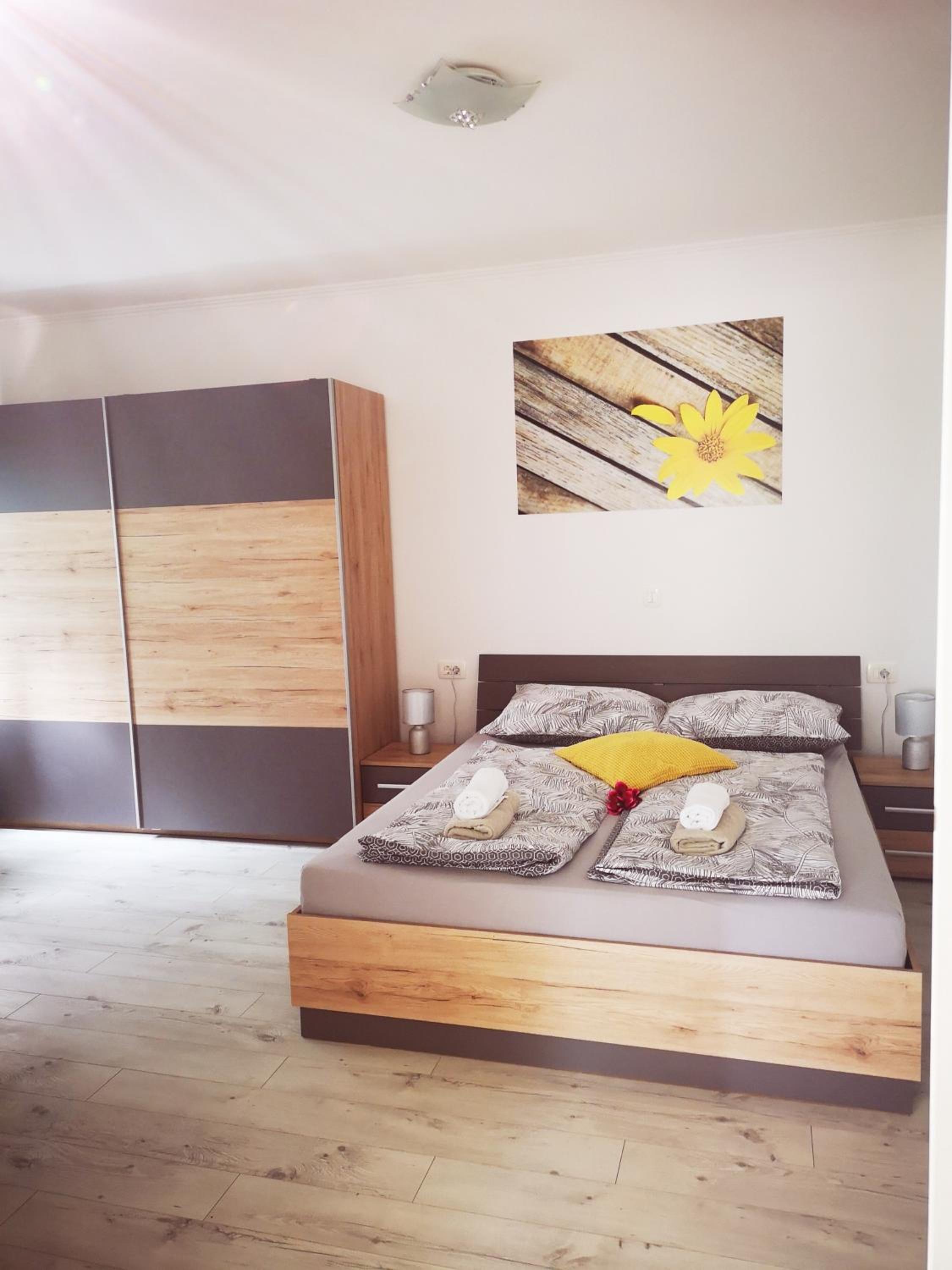 Apartmani "Sandro" Gonar view 5