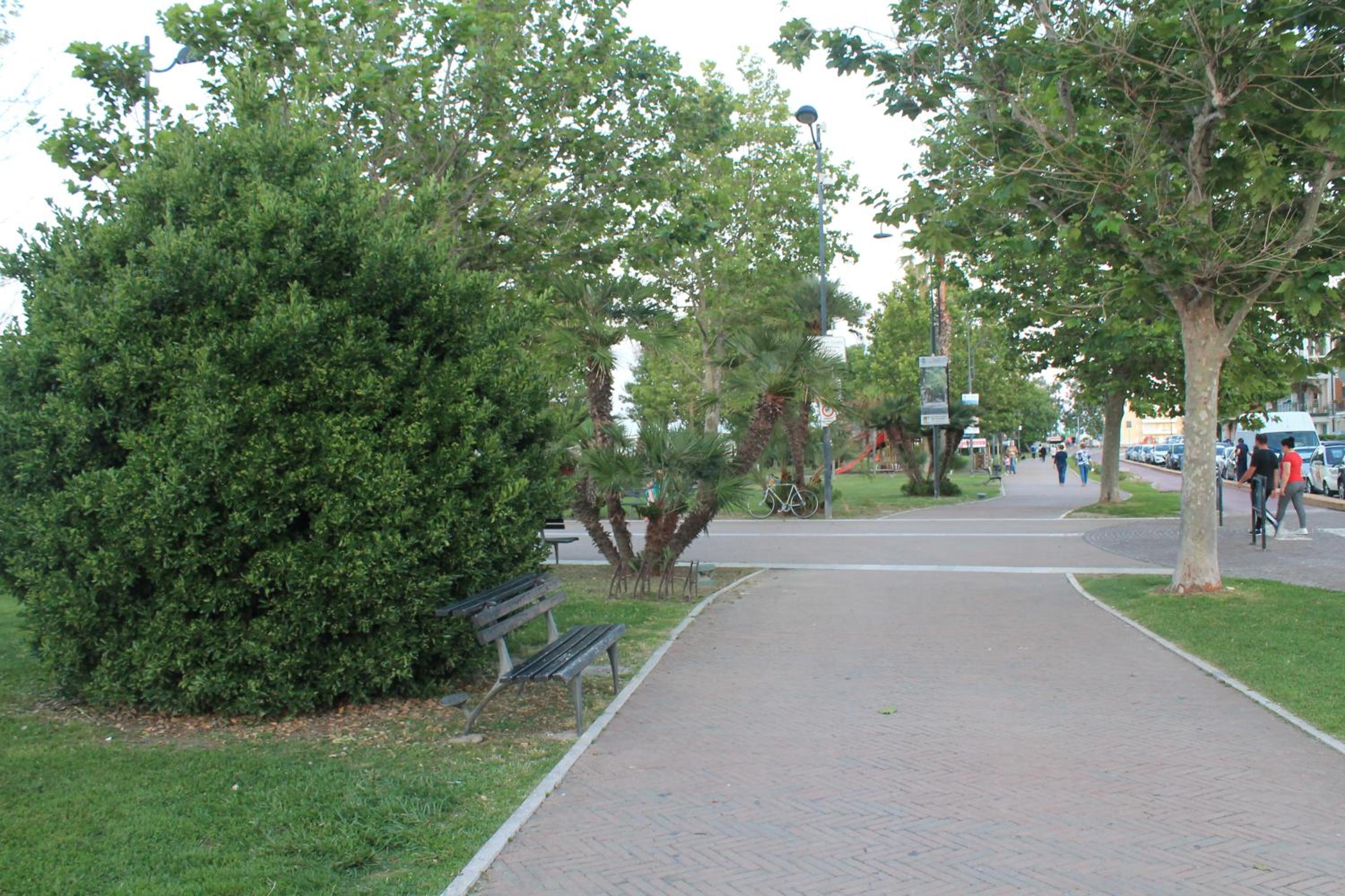 Photo 44