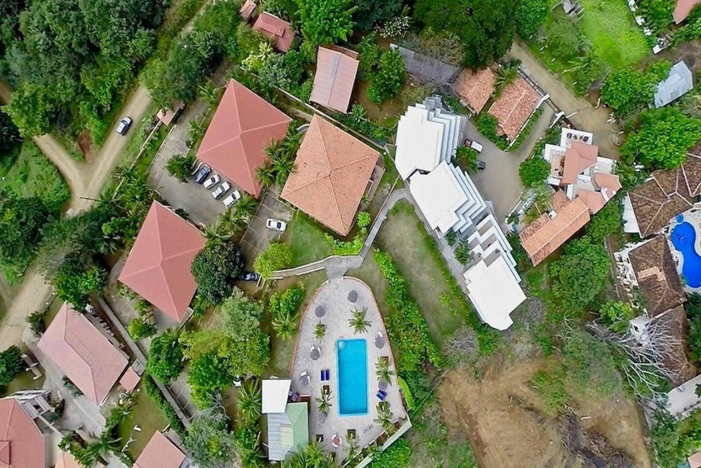 Tropical Condo with Spectacular Ocean Views, Panoramic Dining Terrace & Quick Walk to Beach