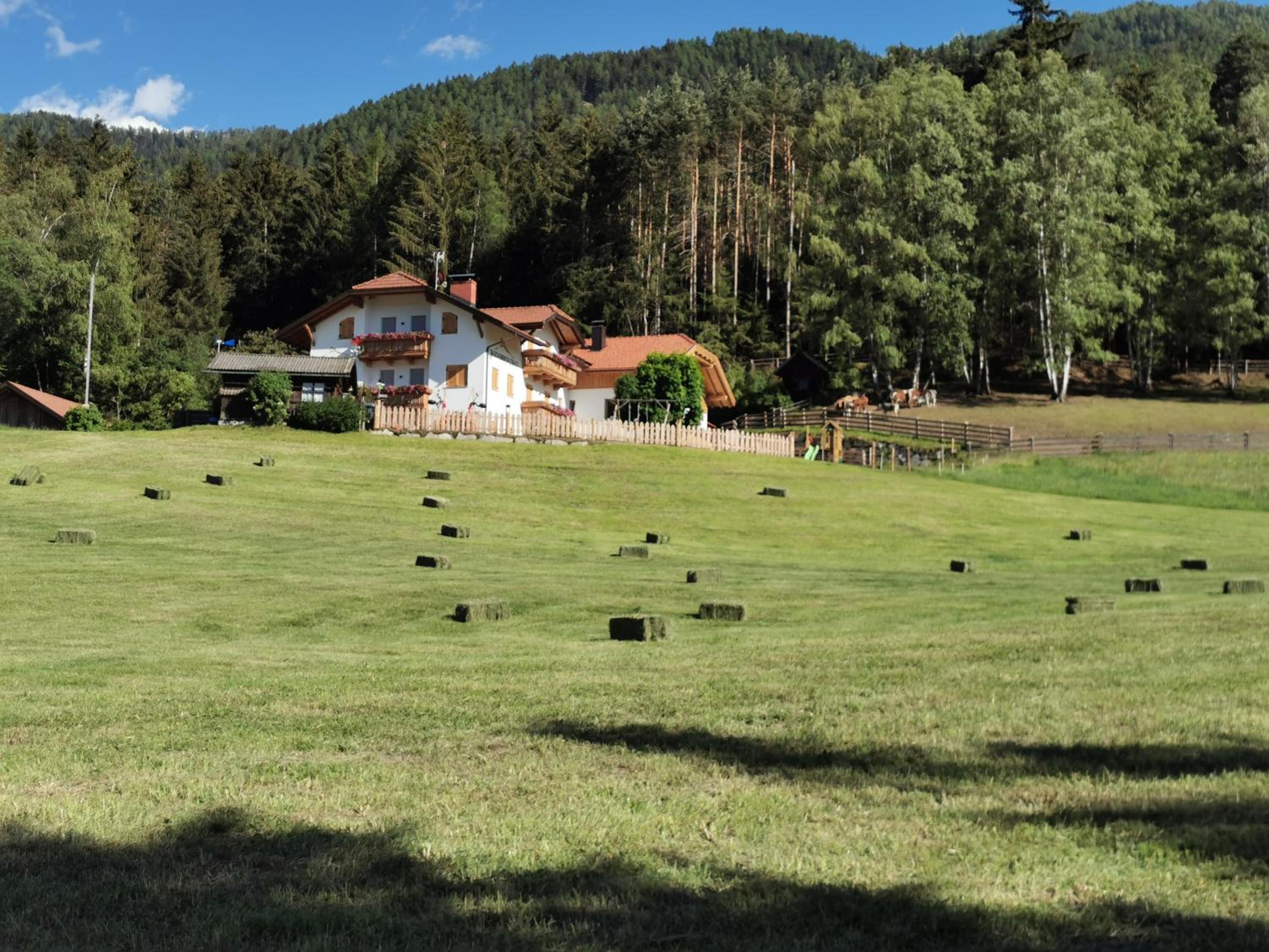 Rauchenbichlerhof view 4