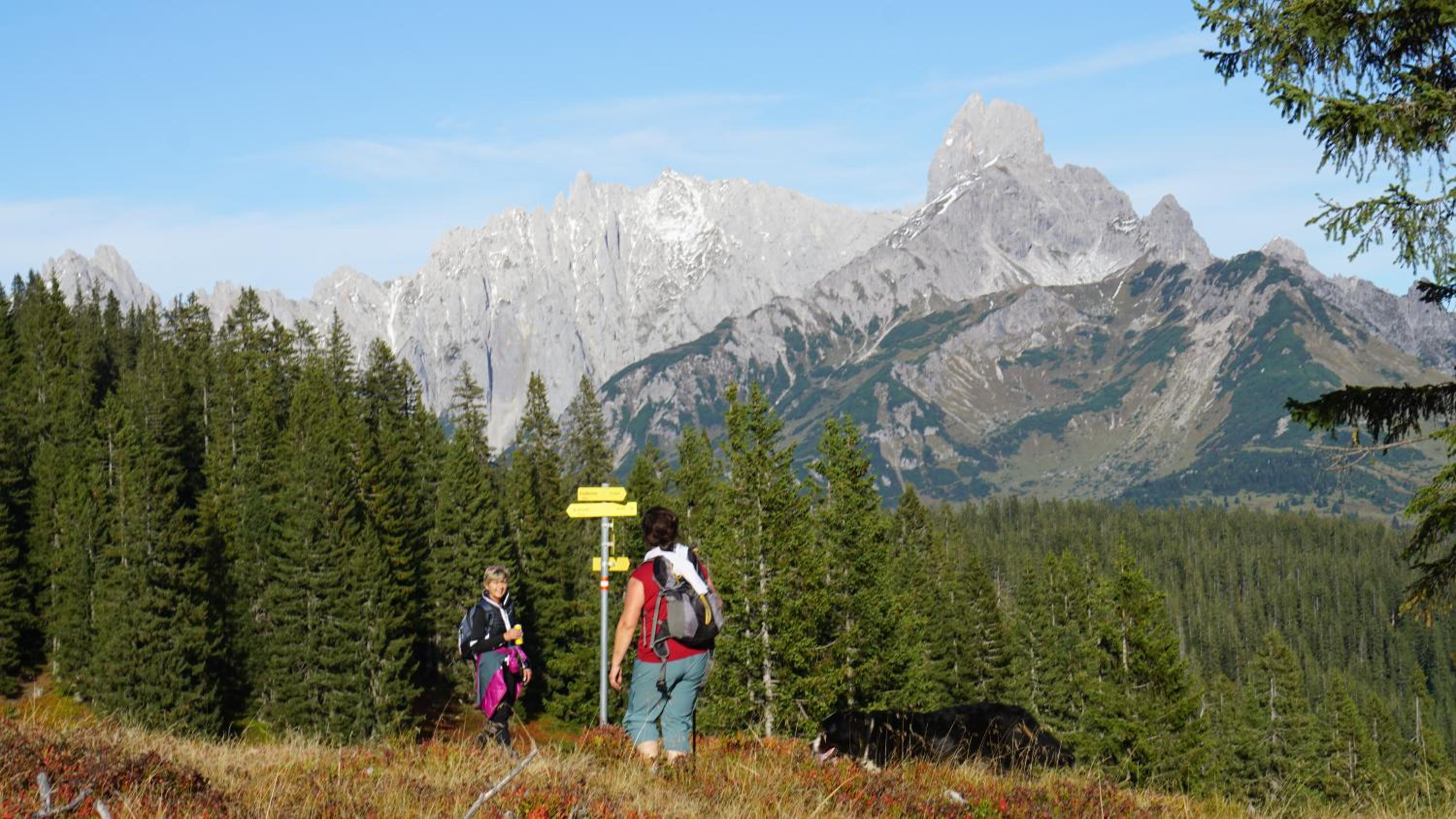 AlpenSportChalet