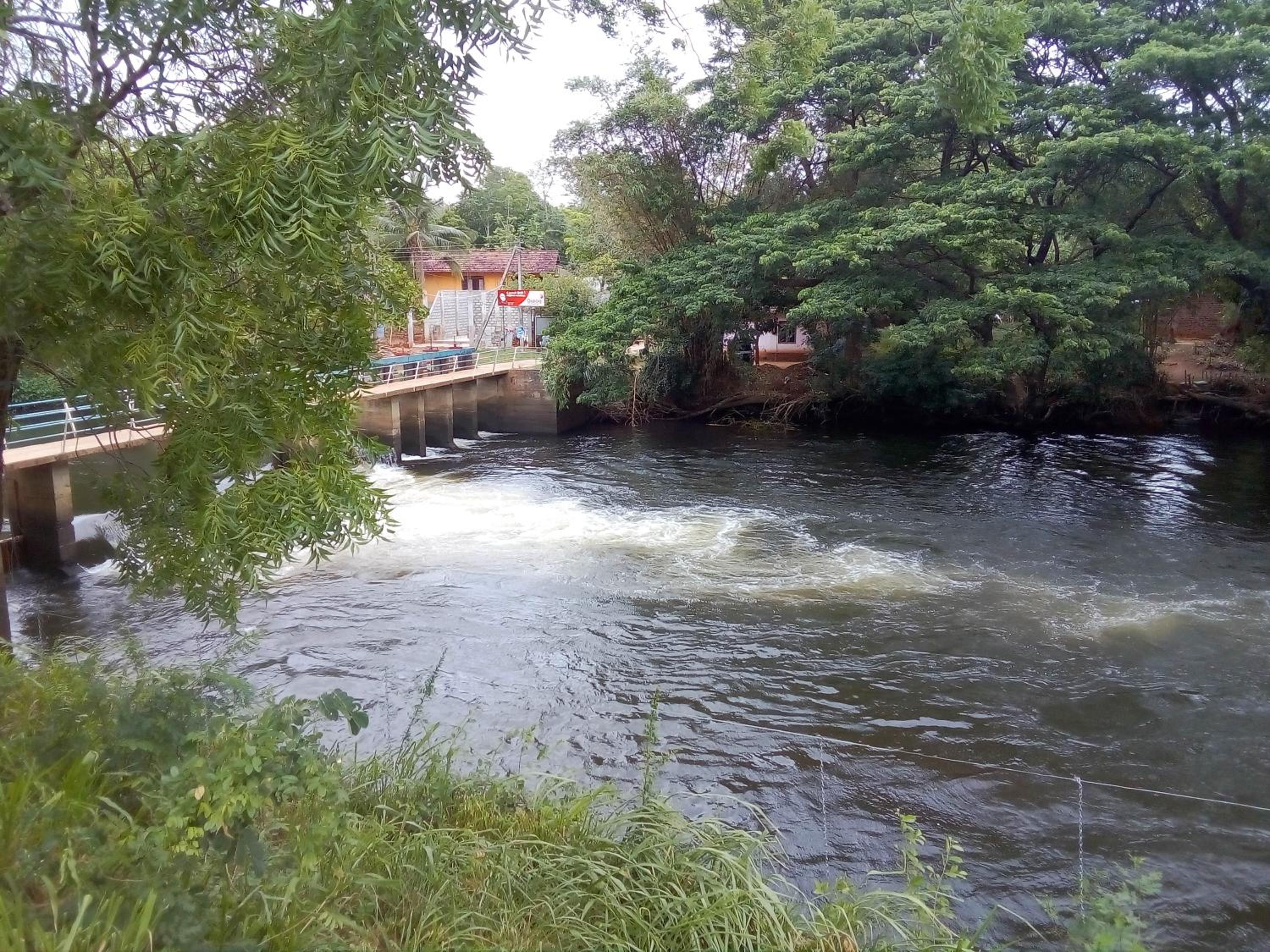 Photo 34