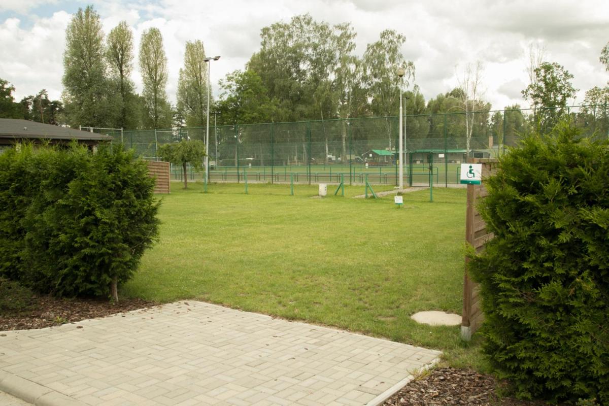 Photo 19
