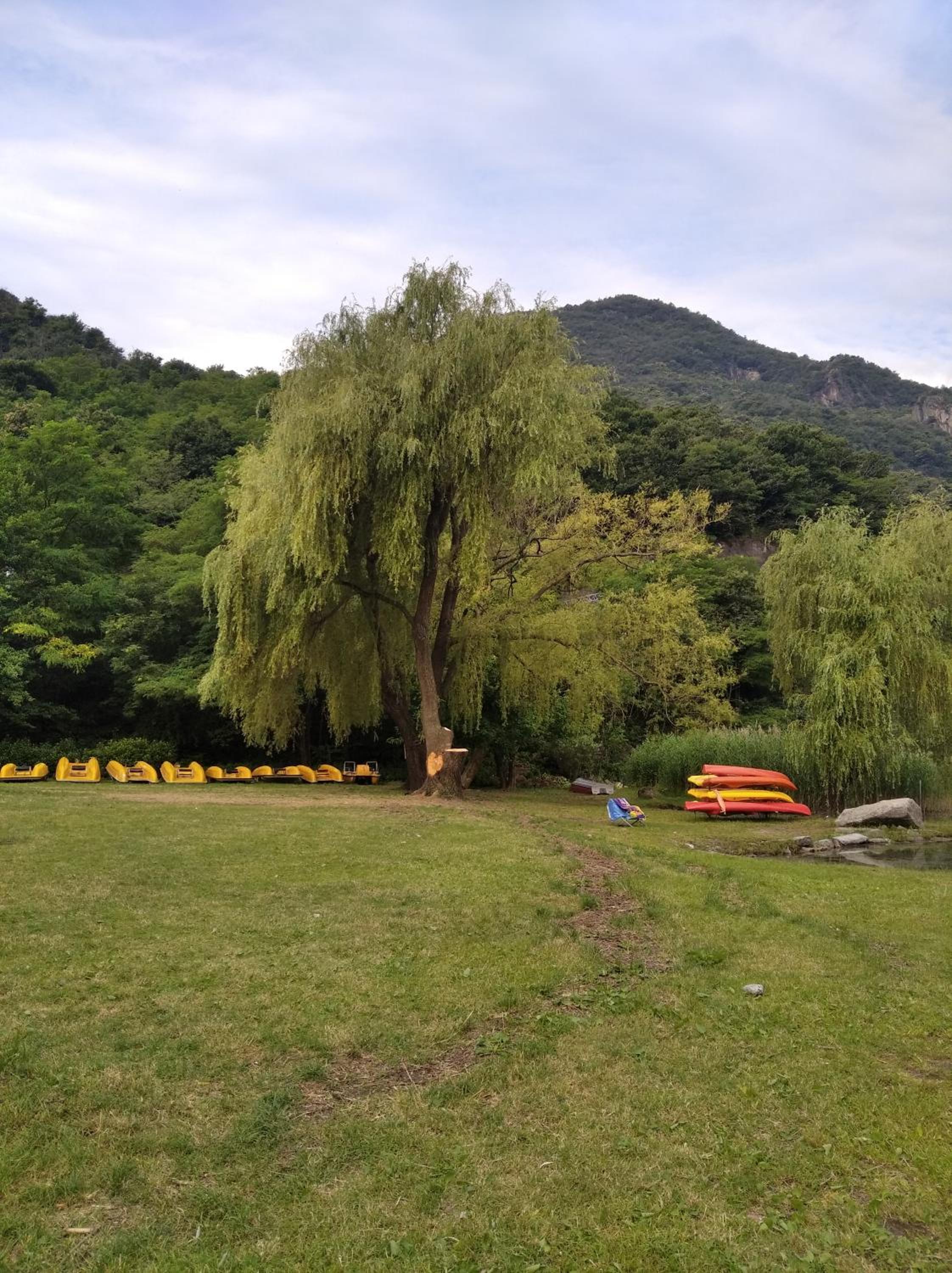 Photo 35