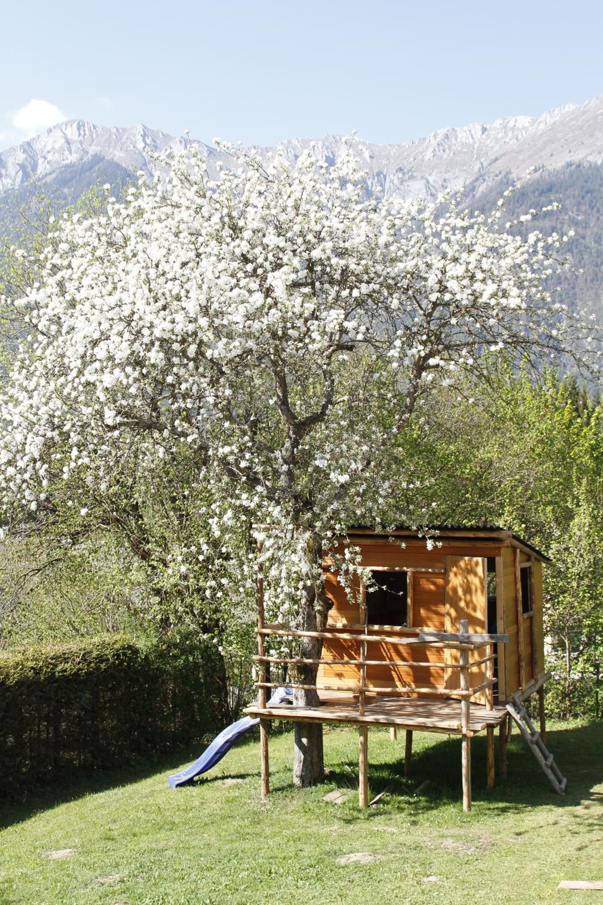Haus Seewald